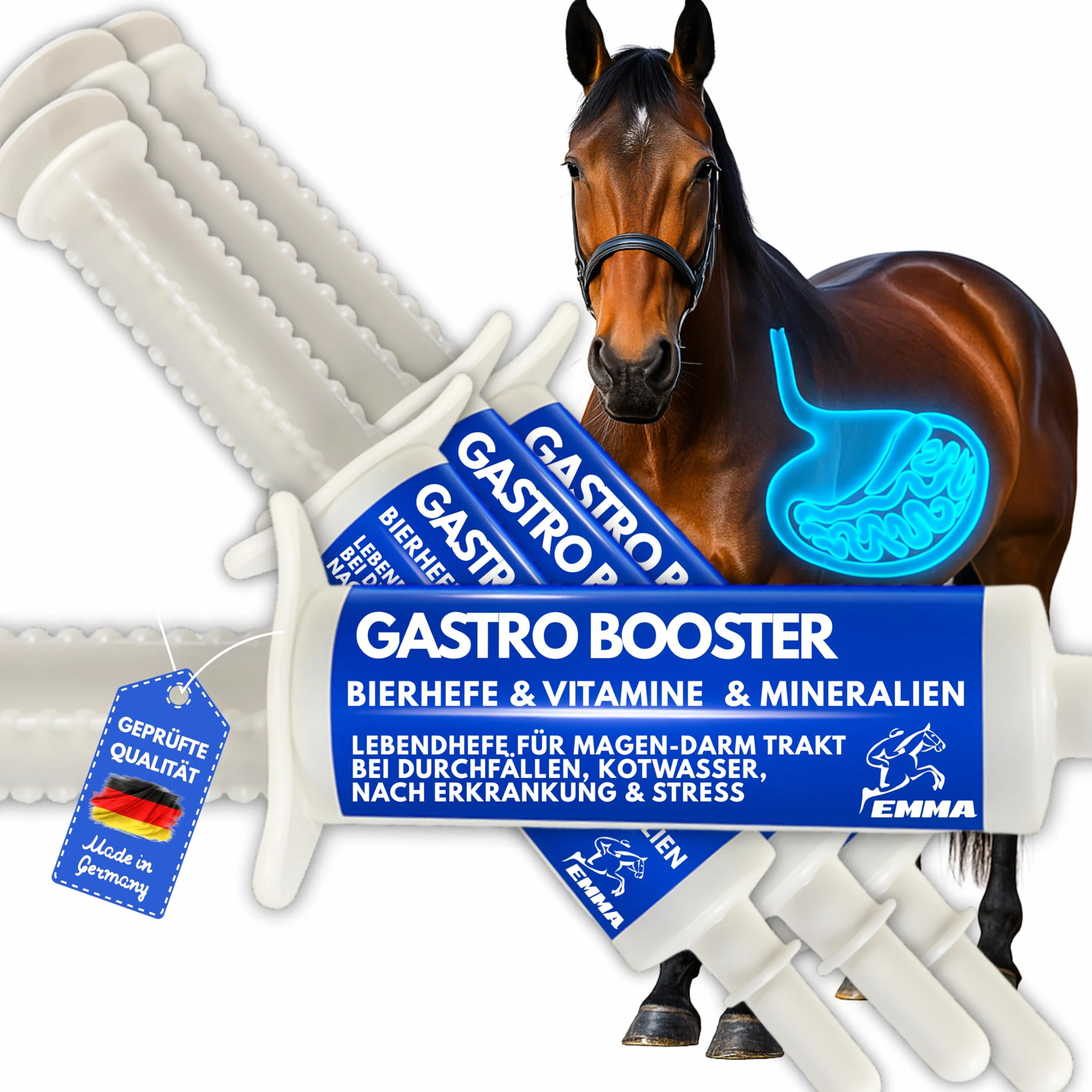 Caballo de refuerzo para el estómago, probióticos, levadura de cerveza, vitamina E, caballo, cultivos de levadura, microflora intestinal, tracto gastrointestinal, pasta de vitaminas I después de
