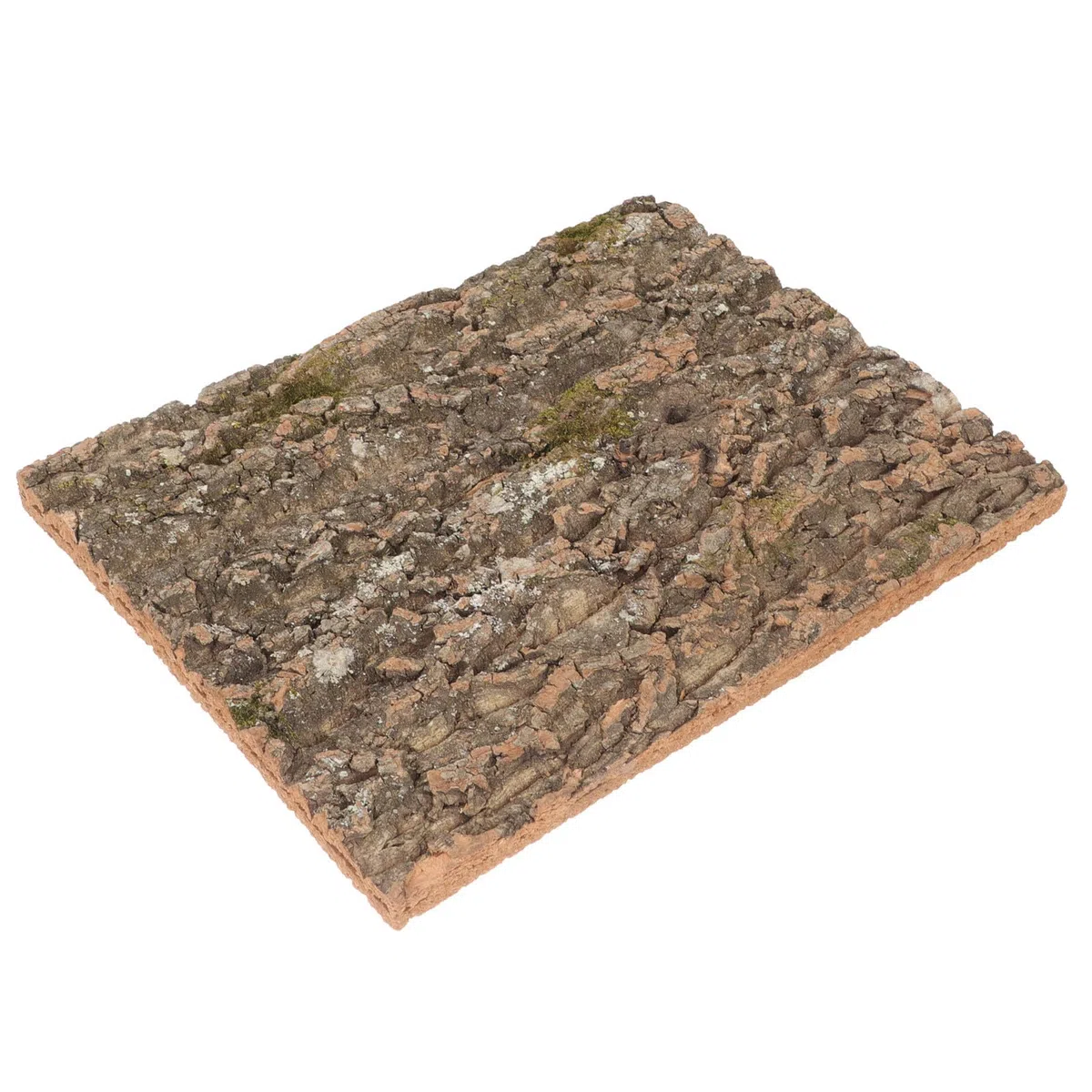 Corteza de Corcho Natural Textura Dura Segura para Reptiles Fondo Decorativo y Pared de Plantas para Terrarios en Acuarios de Reptiles