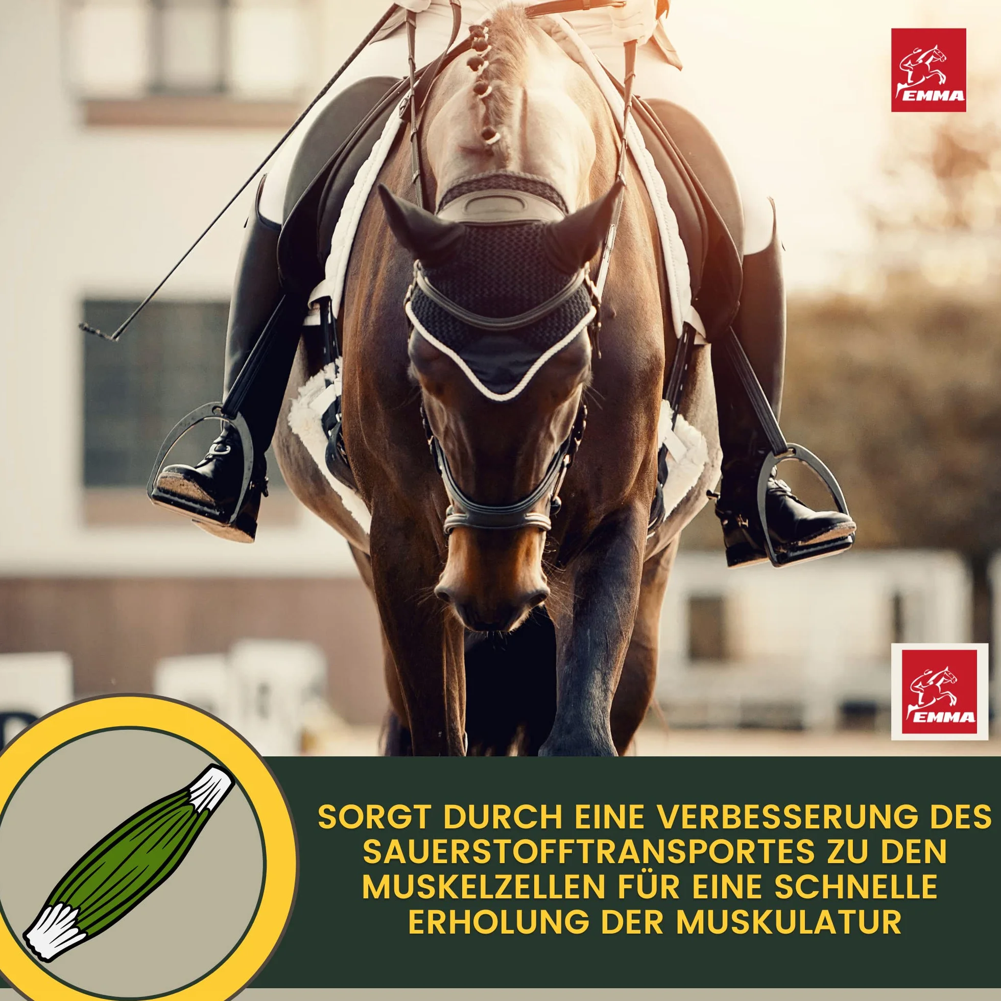 Pasta vitamínica para Caballos Aminoácidos Caballo Amino Vitamina E Levadura de Cerveza I Energía Alimento reconstituyente para músculos doloridos Regeneración Rendimiento Muscular Musculación 30ml
