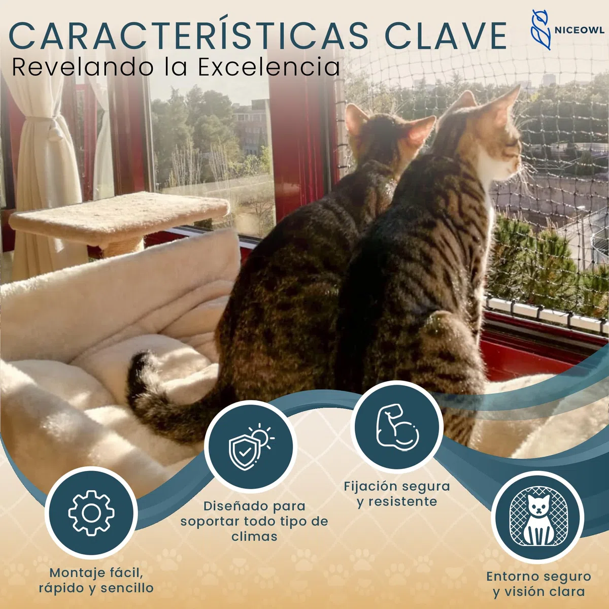 Red para Gatos Terraza 8x3m Transparente I Juguetes Gratis I Material Resistente a la Intemperie I Visibilidad Optima I Previene Caídas y Accidentes en Balcón, Terraza y Ventanas