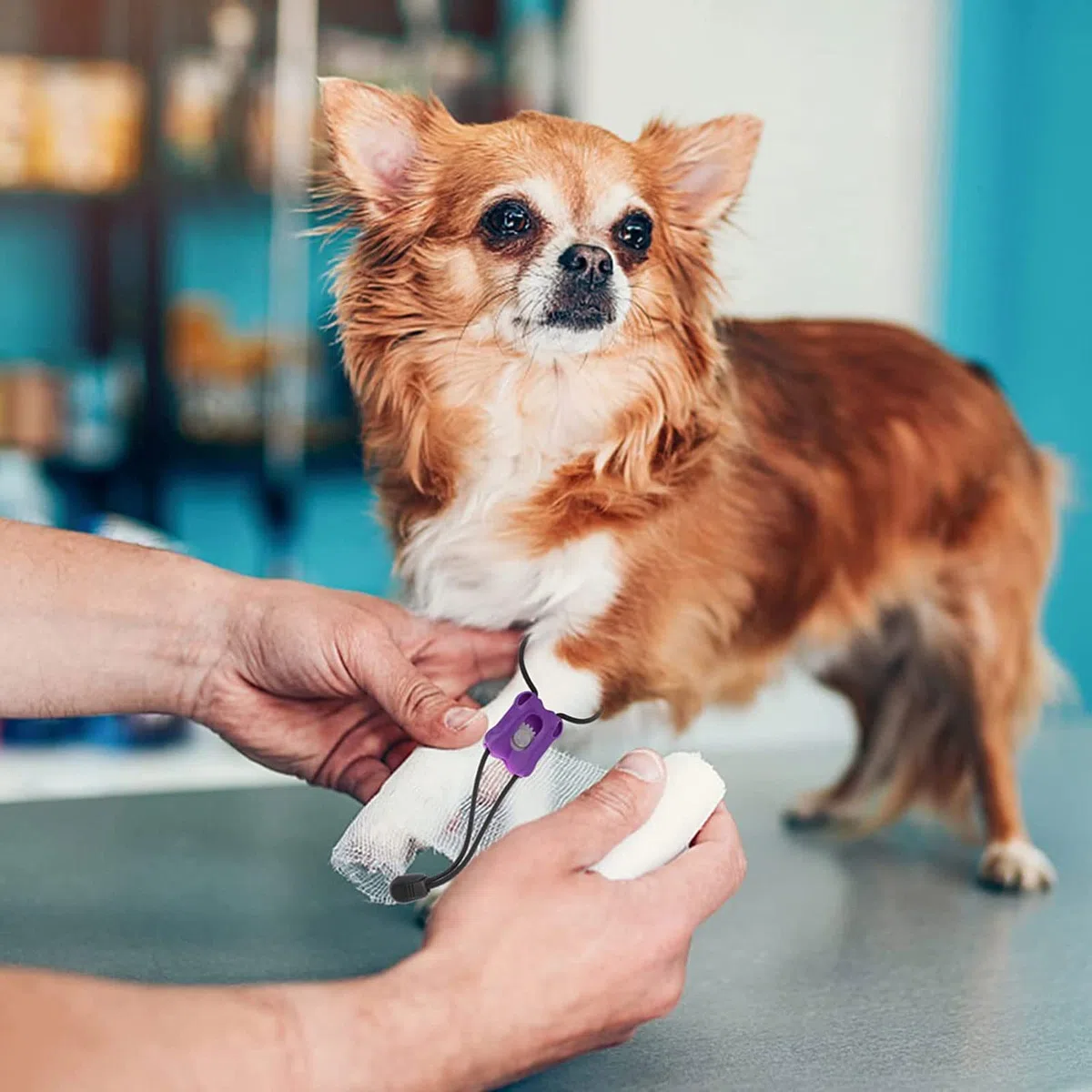 5 vendas elásticas de liberación lenta y rápida para mascotas, torniquetes de control hemostático para perros, gatos, animales