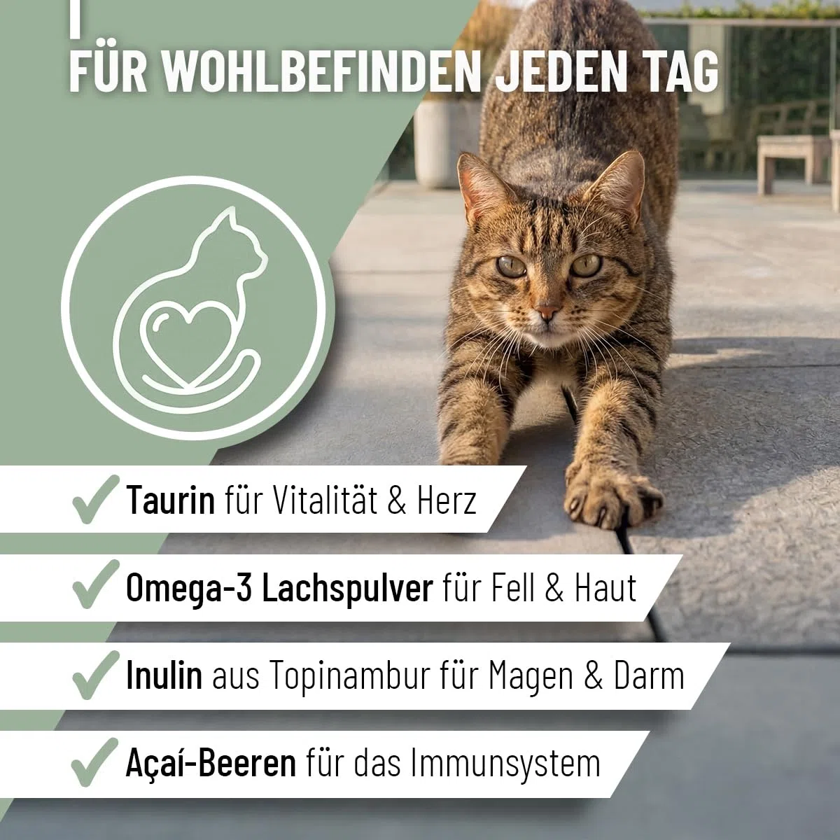 ReaVET Complete Cat 4 en 1 - Suministro natural para gatos durante 2 meses, vitaminas para gatos, activa las defensas, fortalece el sistema inmunológico, articulaciones y gastrointestinales, con