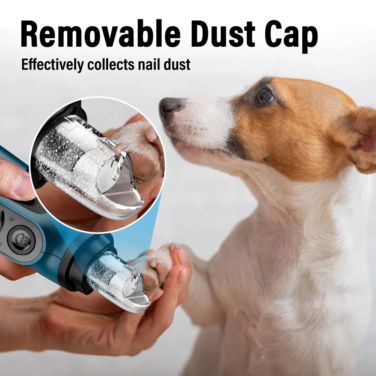 Casfuy - Molinillo de uñas Inteligente de 6 velocidades para Perros, 50% más de Potencia con 2 Luces LED silenciosas y Recargables para Perros y Gatos de tamaño pequeño, Mediano y Grande