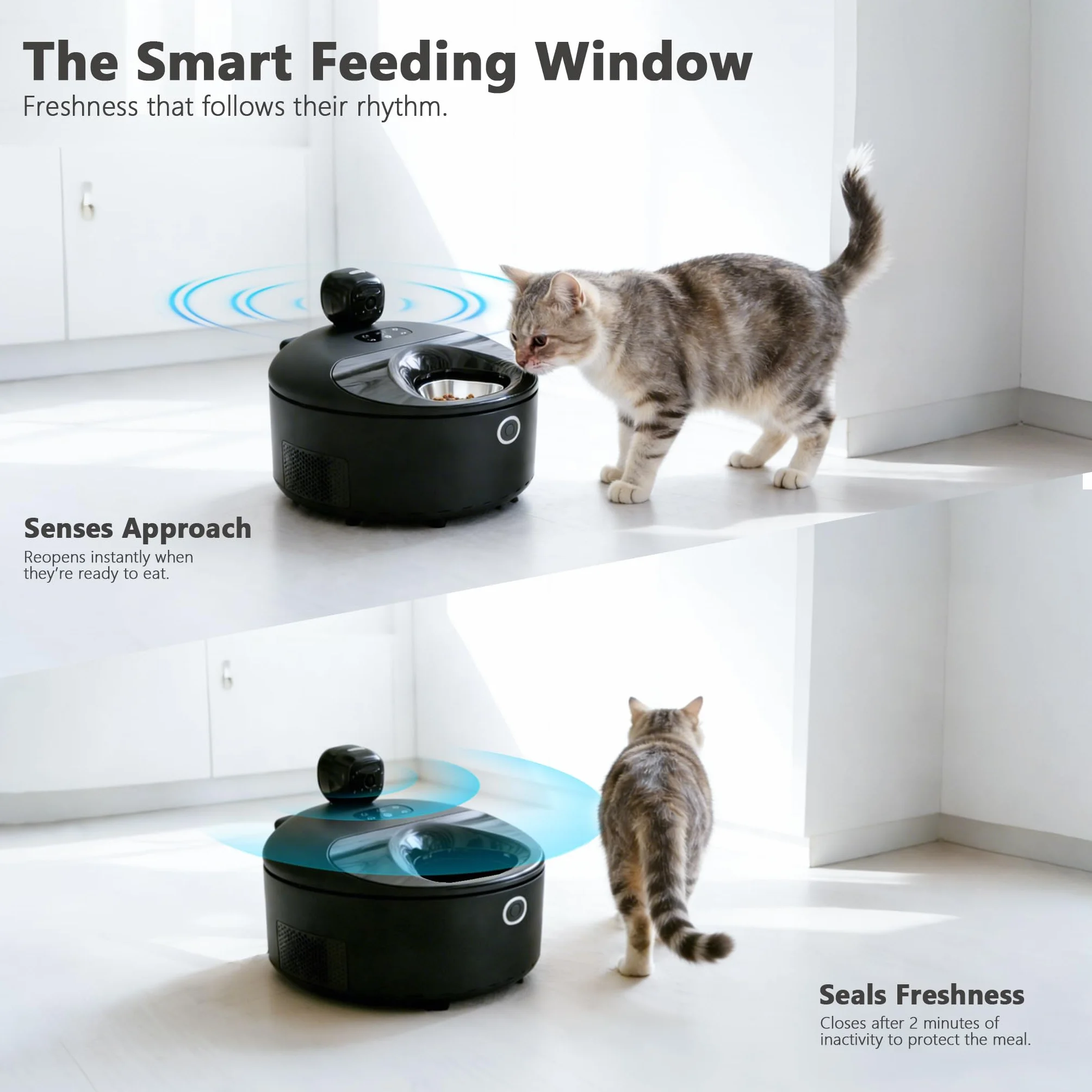 Cayboxy - Comedero automático para gatos con control de alimentos húmedos, dos en uno, refrigerado automático para gatos con refrigeración semiconductora, 5 comidas frescas, controlado por aplicación