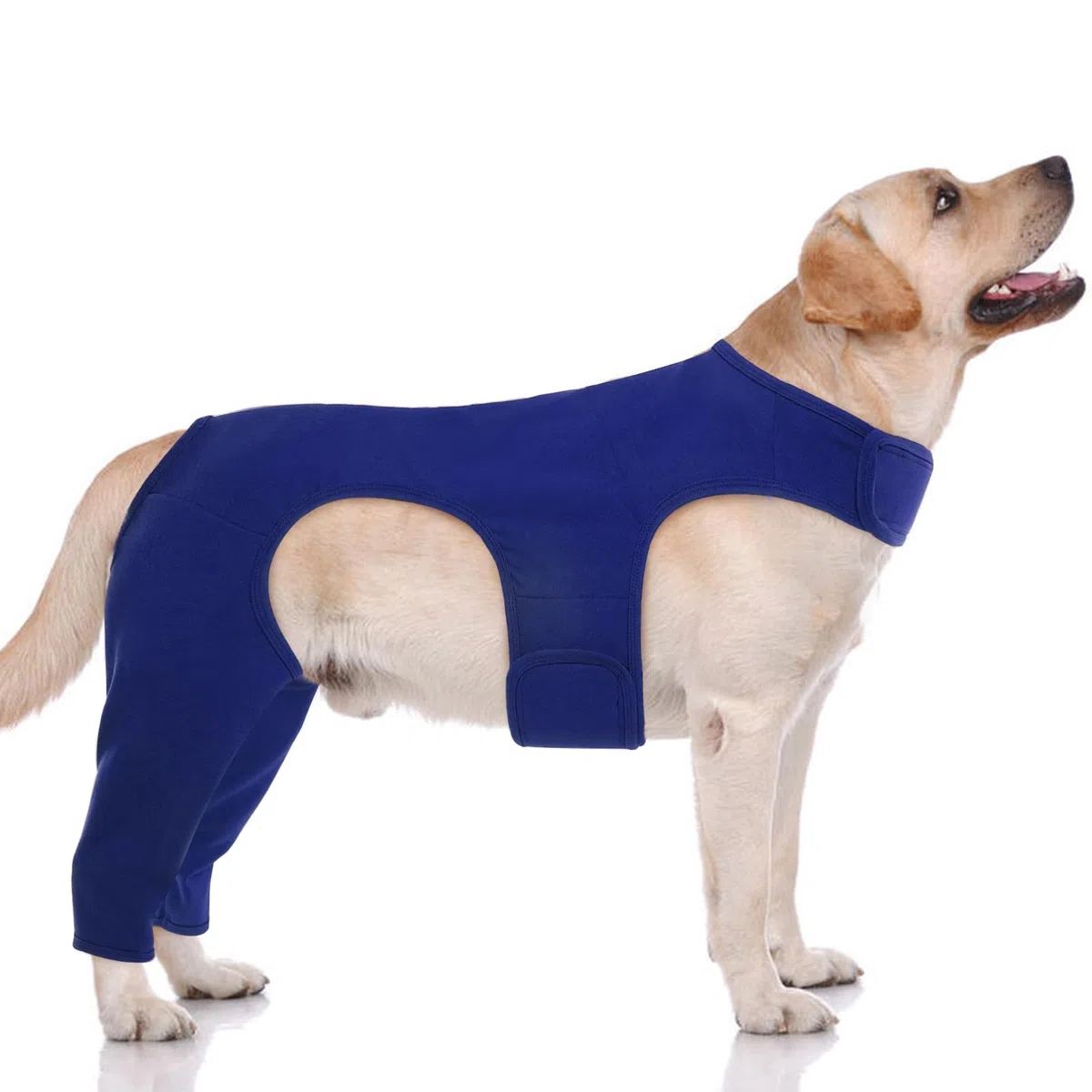 Traje de Recuperación para Perro, Recovery Sleeve, Traje Quirúrgico, Body Postoperatorio, Alternativa Al Collar Isabelino, Protector De Codo