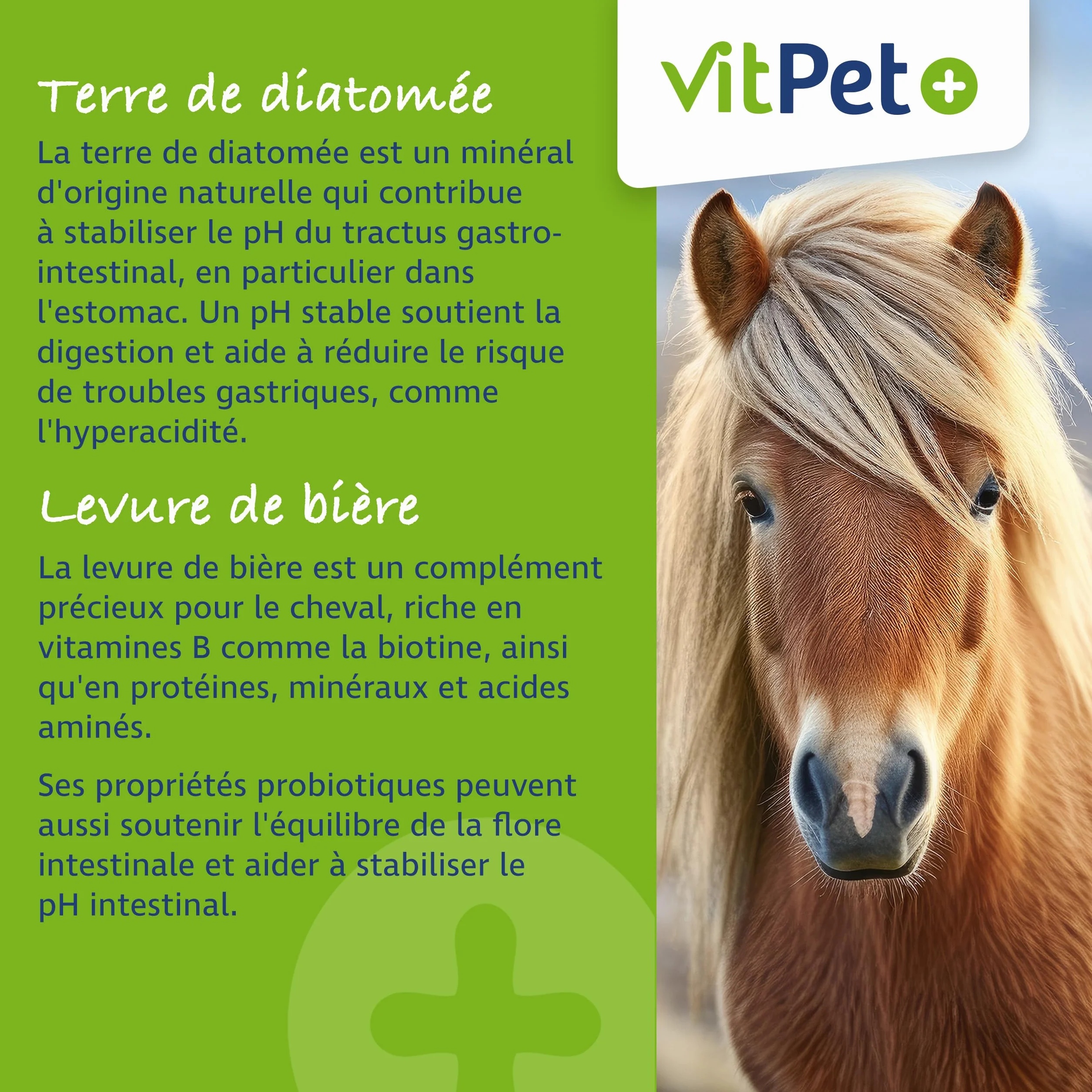Huf Wohl - Alimento mineral especial para caballos, con biotina, zinc, tierra de diatomeas y levadura de cerveza, 4 kg, para apoyar el crecimiento de pezuñas, incluye cuchara dosificadora