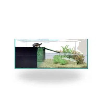 Reptiselva Kit Tortuguera Habitat Completo con Tapa y Solárium, Vidrio sin Marcos, 40 x 20 x 19 cm, para Tortugas Acuáticas