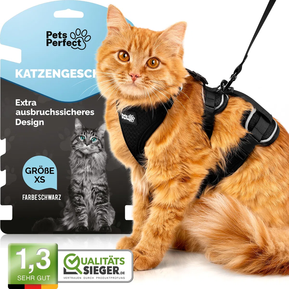 Arnés para gatos – Arnés resistente con correa para paseos seguros (XS, Negro, Rayas)