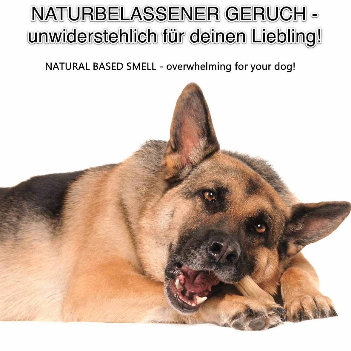 Huesos masticables DOGBOSS Ingredientes 100% Naturales, Diferentes tamaños y sabores (Pack de Prueba con 7 Huesos, 12 cm)