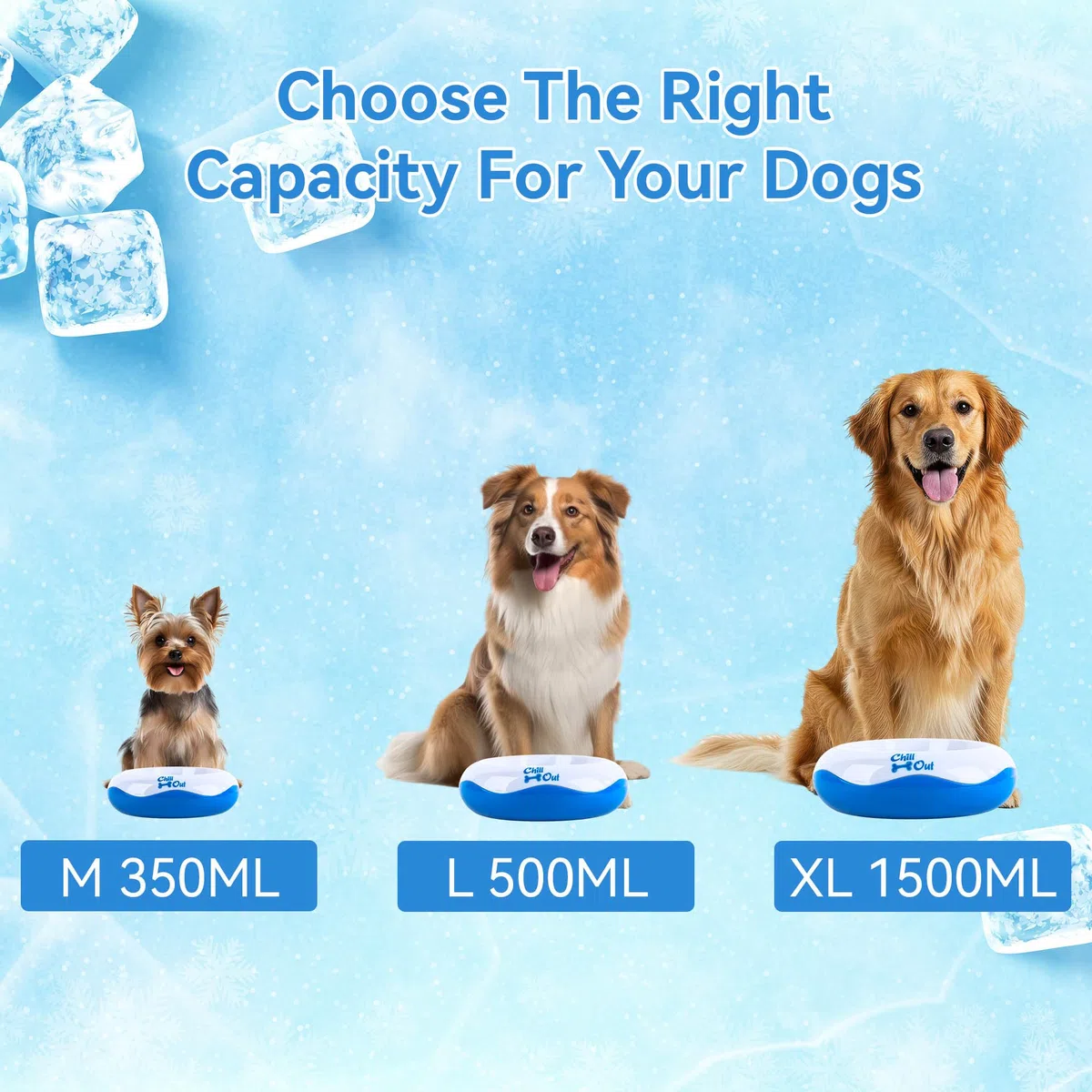 All For Paws Bebedero O Comedero Refrescante Chill out, 500 ml