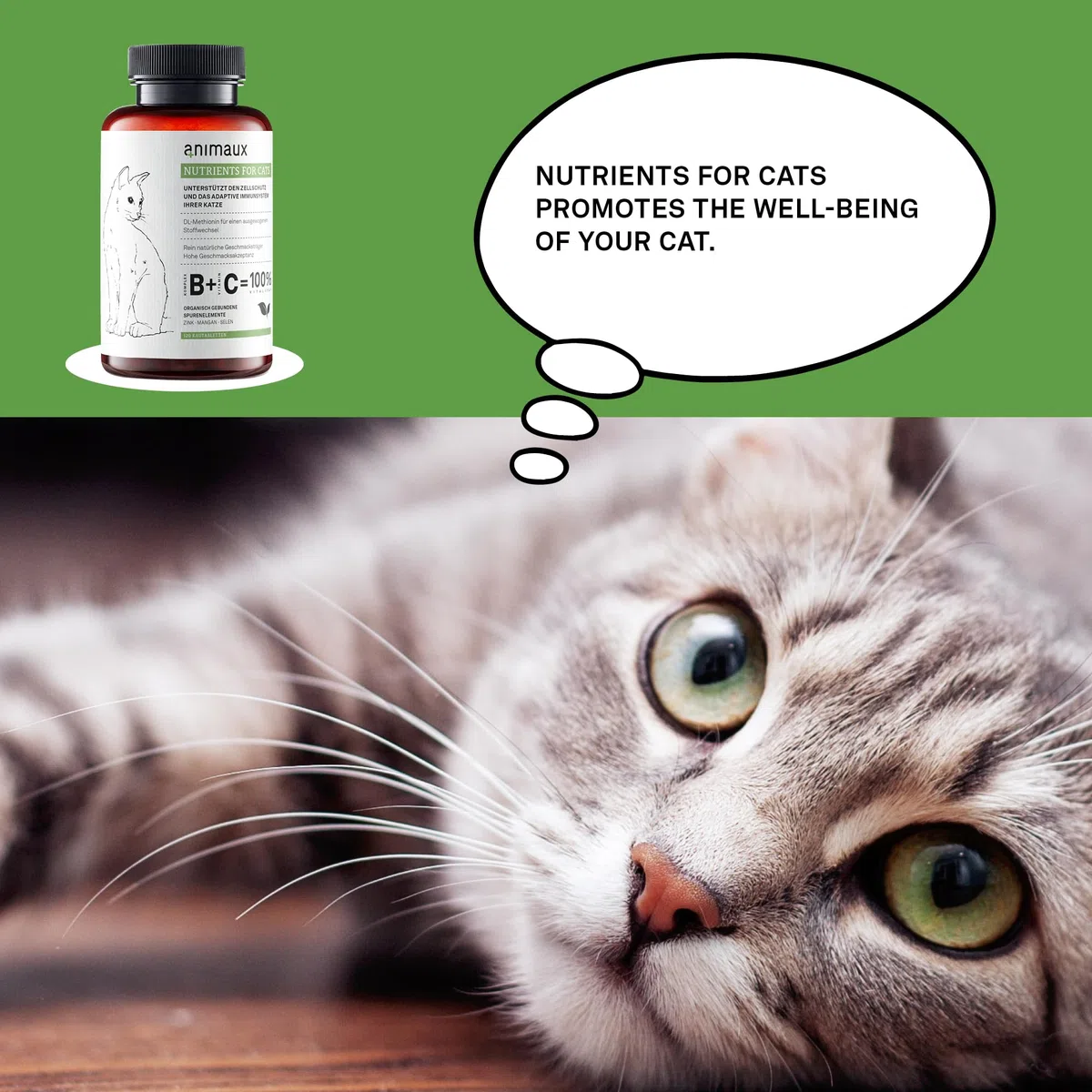 animaux Nutrients for Cats – 120 Comprimidos Casticables – Vitaminas para Gatos, Apoyo para el metabolismo, Sistema inmunológico, Piel y Pelaje, con Complejo de Vitamina B, Omega 3, Zinc y más