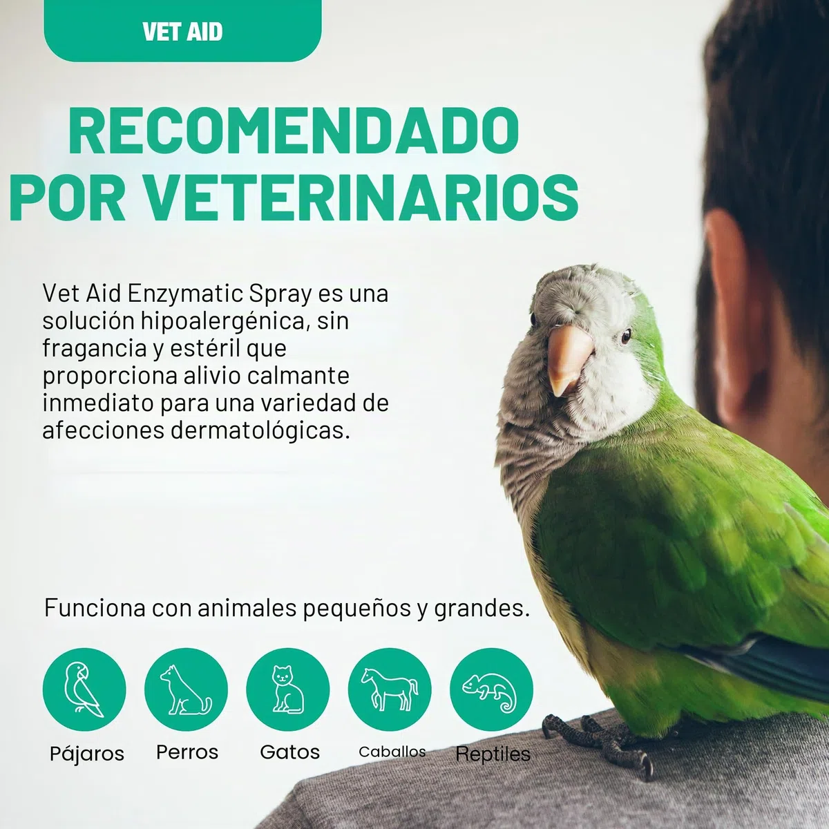 Cicatrizante Enzimático 120 ml para Perros y Mascotas – Sal Marina + Lisozima, Hipoalergénico, Inodoro, Ayuda a una rápida recuperación sin Irritación