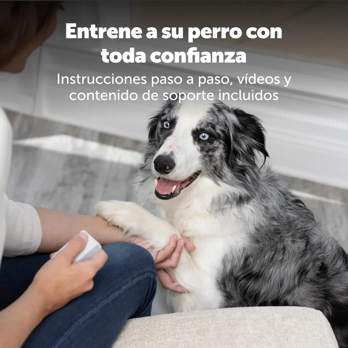 PetSafe Teach & Treat – Adiestrador con Mando de Recompensa, Dispositivo de Entrenamiento de Recompensas, Entrenamiento con Control Remoto, Refuerzo Positivo para Perros, Dispensador de Prem