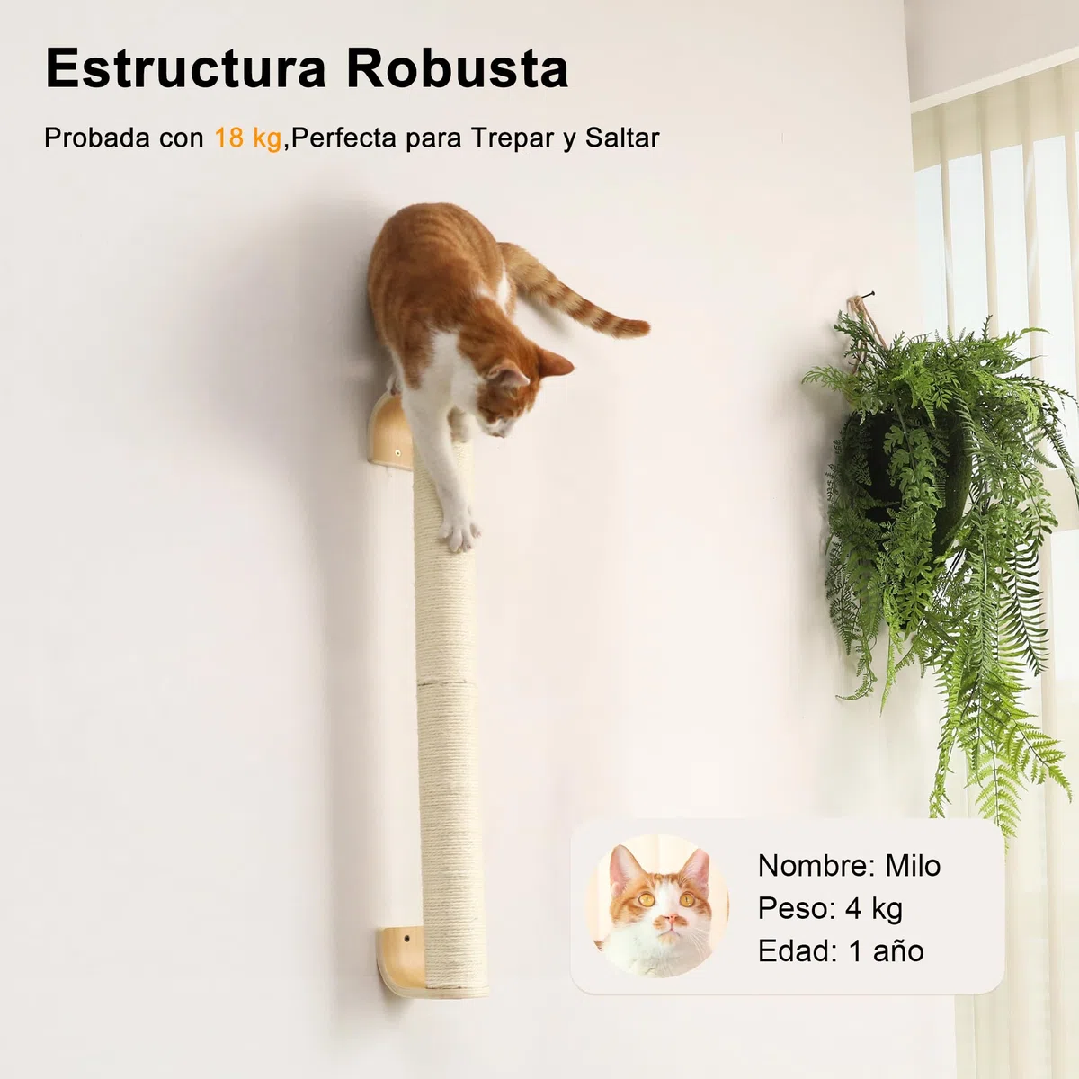 FUKUMARU Poste rascador para Gatos de Pared, rascador de 71 cm para Montaje en Pared, rascador de Pared Estable de sisal