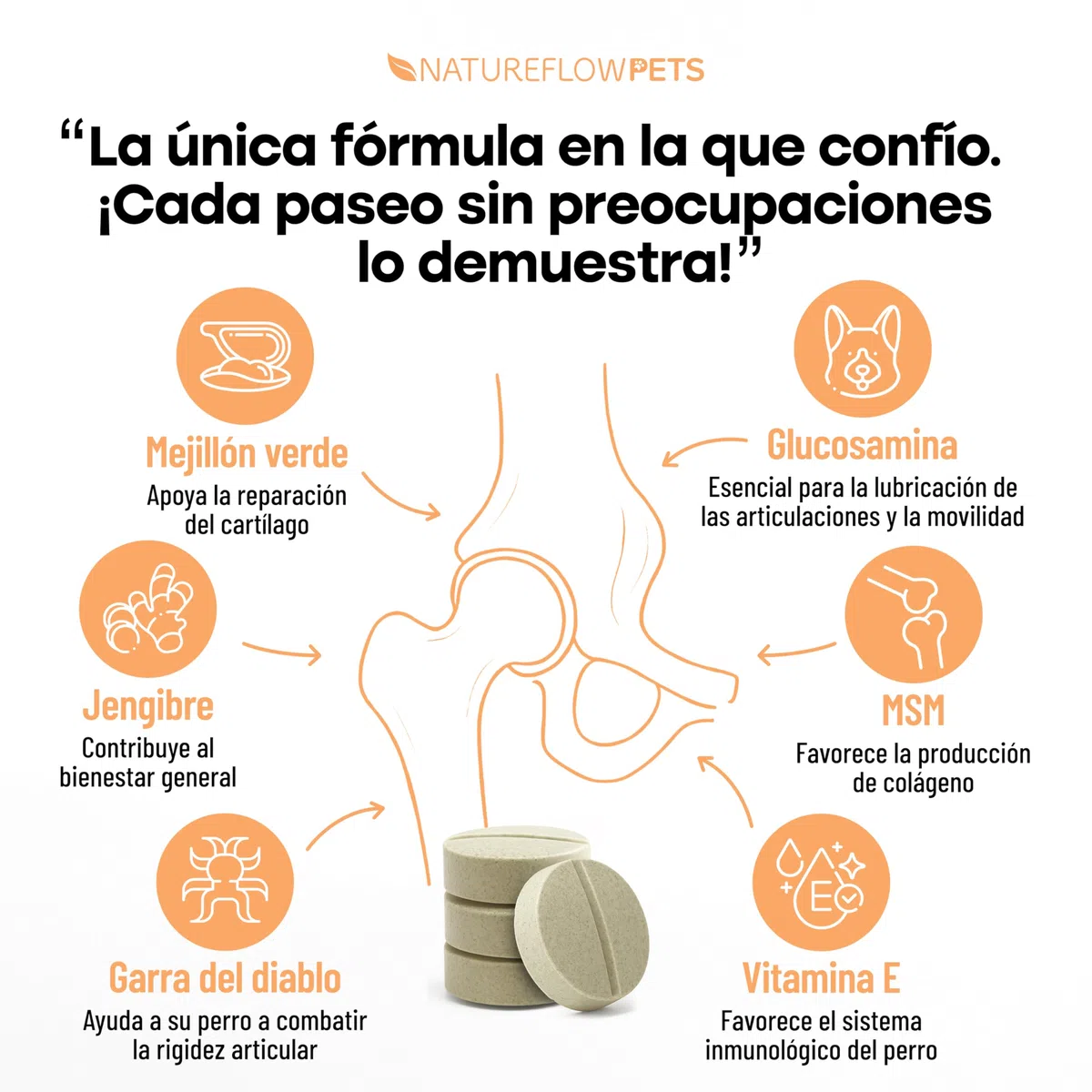 Condroprotector Perros - Suplemento Articulaciones y Cadera con Glucosamina, Condroitina y MSM - 100 Comprimidos - Antiinflamatorio Natural - Made in Germany - Natureflow Pets