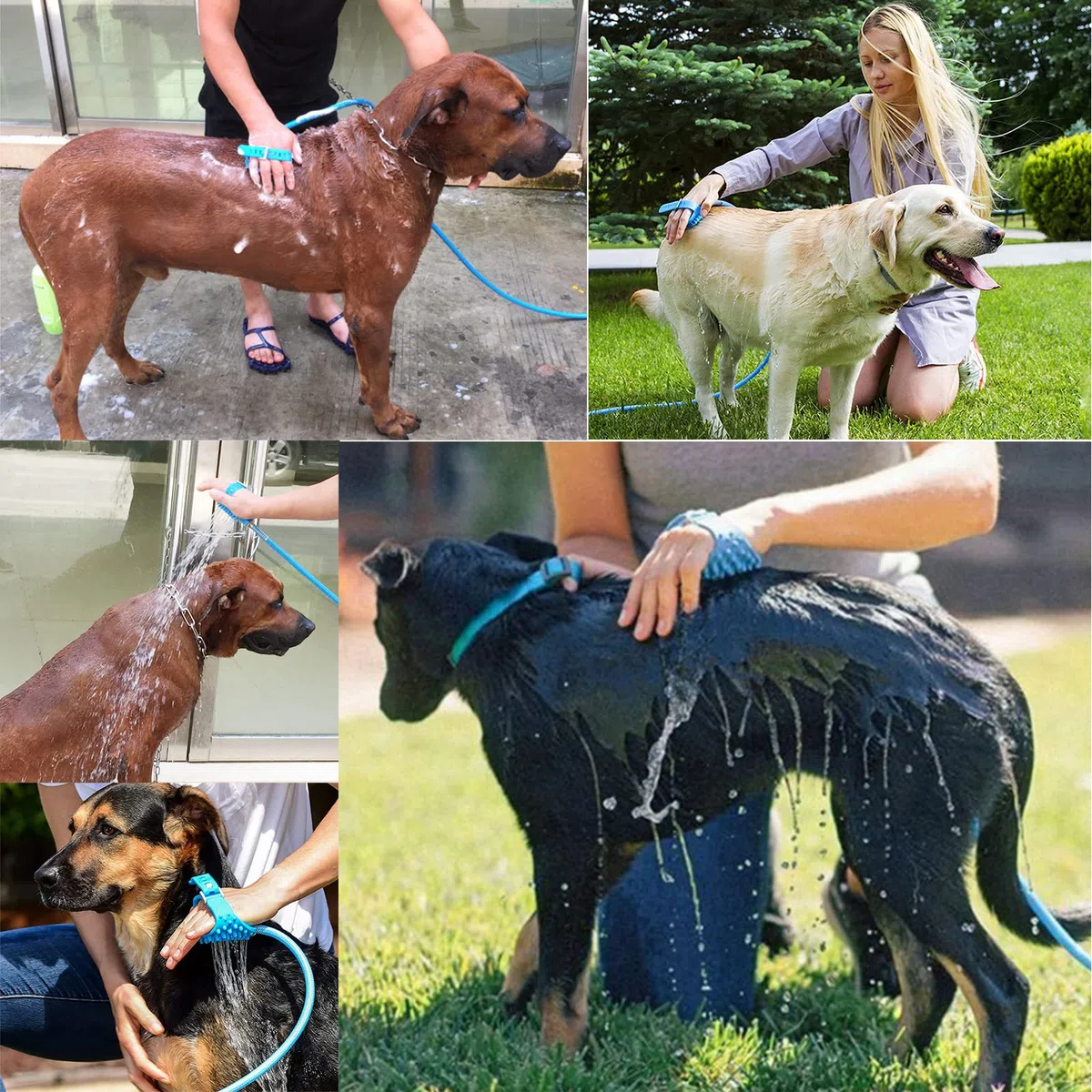 2 en 1 Kit ducha para perros gatos, Alcachofa de ducha para mascotas, Herramienta de baño para mascotas con cepillo, manguera de PVC de 2m y 2 adaptadores de manguera para perros y gatos