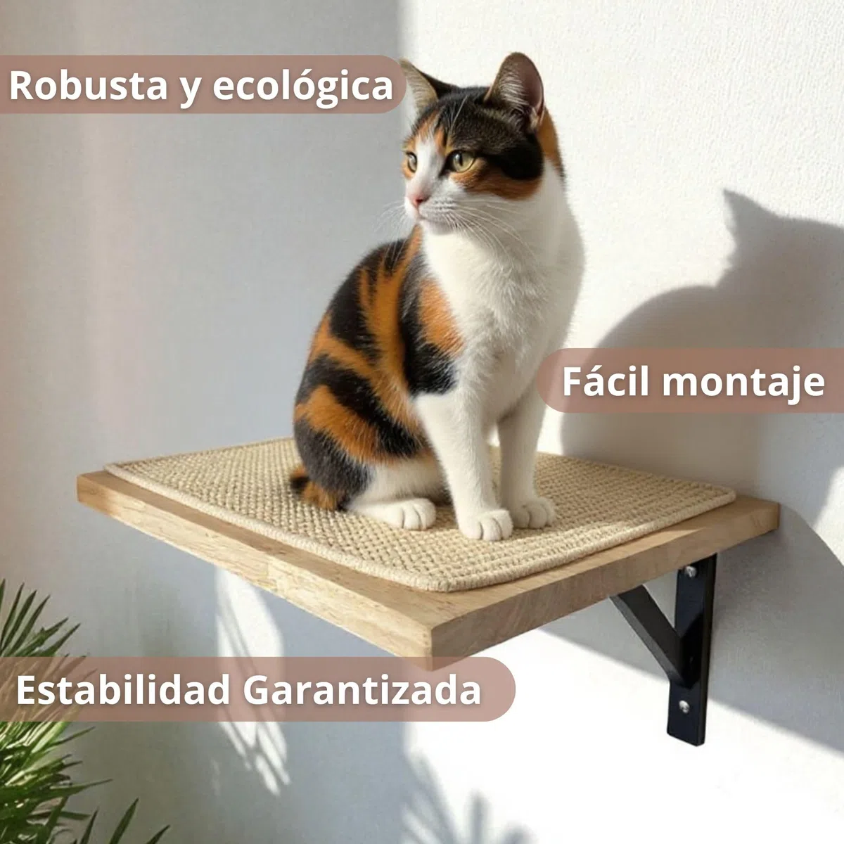 Estantería para Gatos Interior Ancla Mural con Plataforma de Descanso y Rascador de Sisal Antideslizante | Madera de Caucho Sostenible para Pared