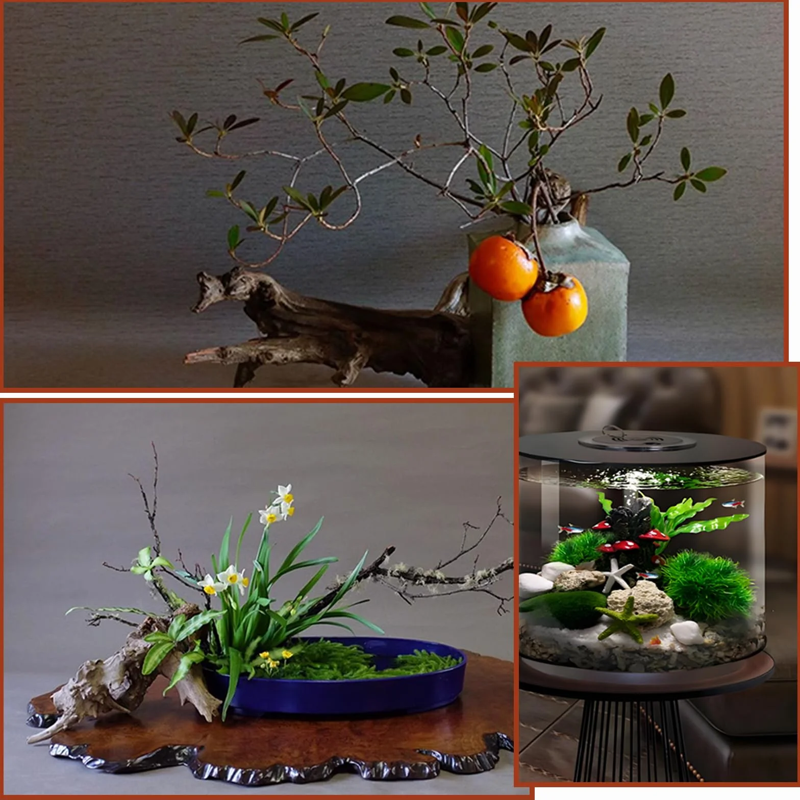4 piezas de madera flotante para acuario, pecera, madera natural, sin rebabas, decoración de pecera, piezas pequeñas para acuarios, microacuarios, paisaje duro