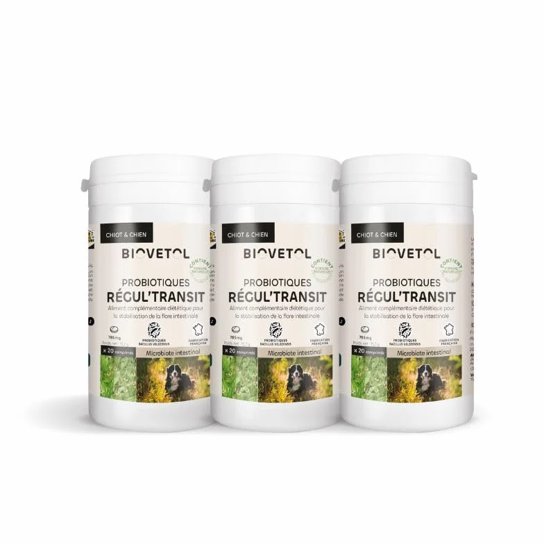 Biovetol - Probiótico - Comprimidos Regul'Transit - Complemento alimenticio especial de tránsito (perro, lote de 3)