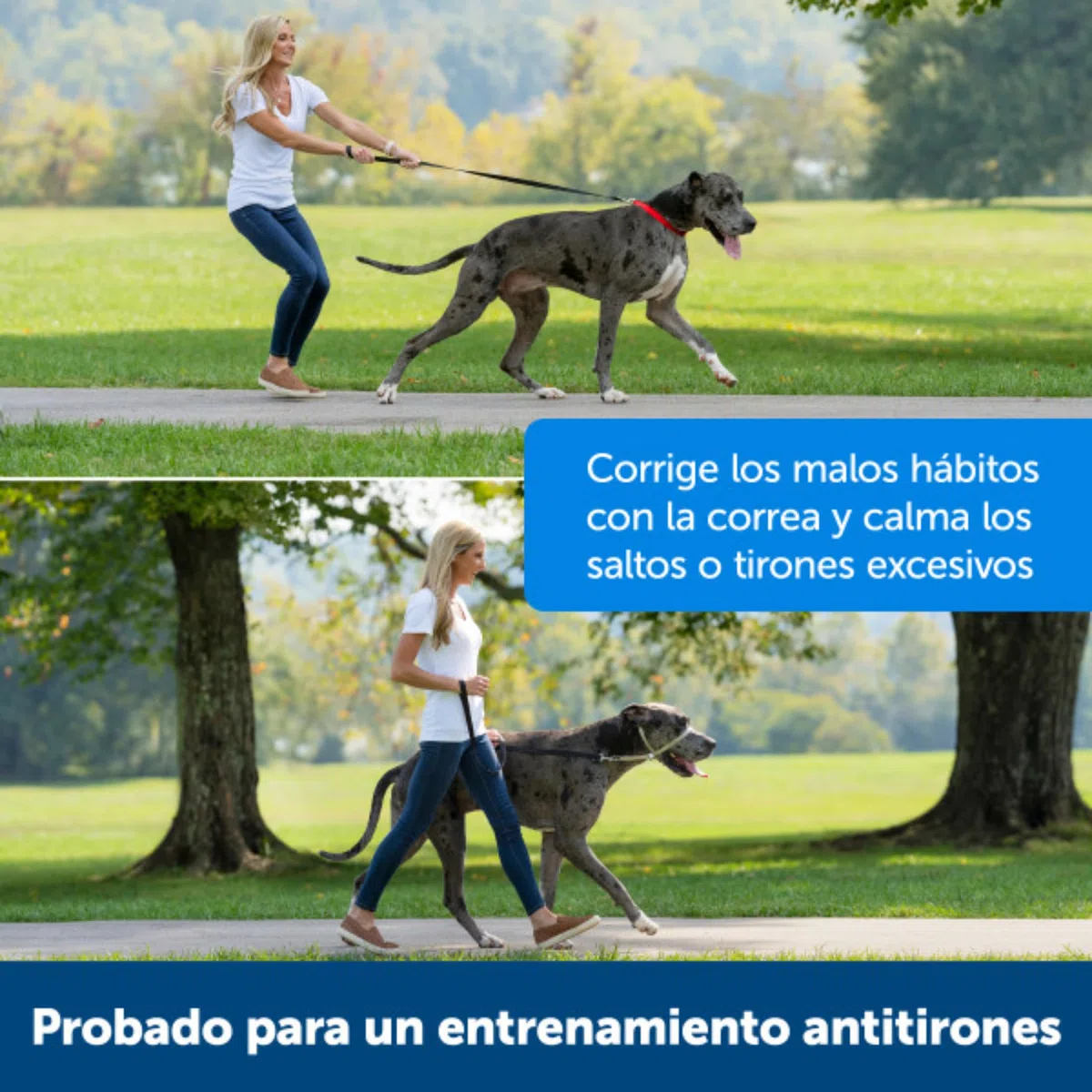 PetSafe Easy Walk – Bozal para Perros, Collar de Cabeza Antitirones para Perros, Ajustable, Acolchado, con Correa De Paseo Incluida, Negro, M