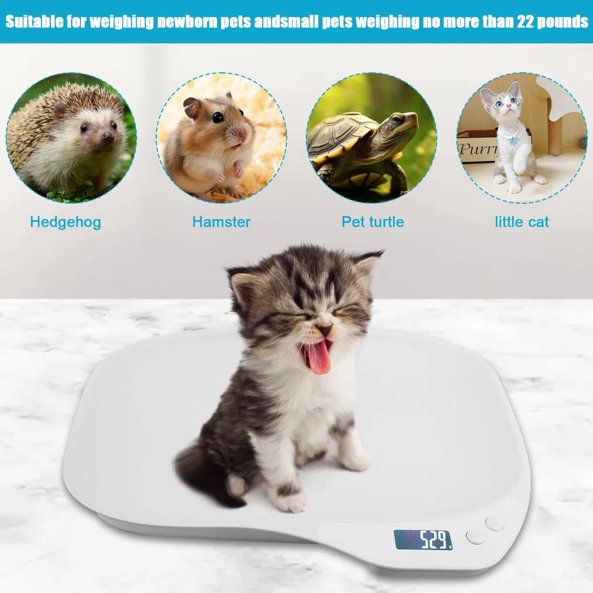 báscula para mascotas y animales pequeños, 15 kg (± 1 g), 4 modos de pesaje (kg/oz/lb/ml), para perros, gatos, hámsteres y pájaros pequeños