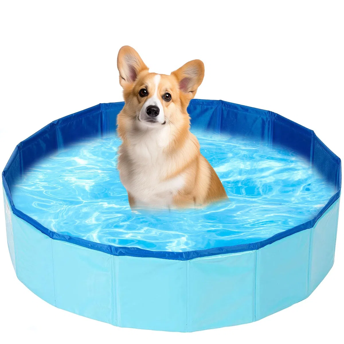Piscina plegable para perros y gatos, mini piscina portátil para perros y gatos (50 x 10 cm)
