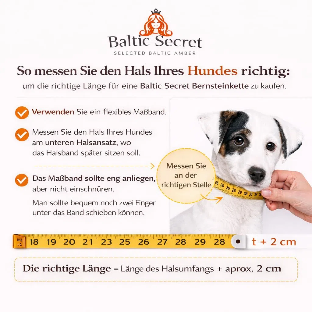 Collar de ámbar para perros y gatos – de 20 cm hasta 68 cm – cadena de ámbar, collar de protección contra garrapatas