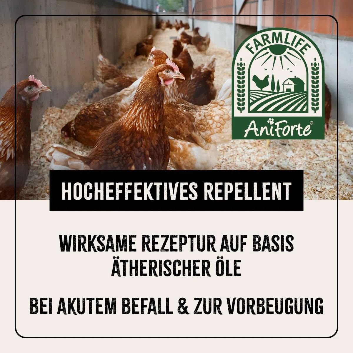 AniForte Aerosol para Pollos y Aves de Corral 500 ml - contra ácaros y parásitos, ácaros del Polvo, Aerosol Ambiental y Aerosol de Contacto, para infestaciones agudas y Medidas preventivas