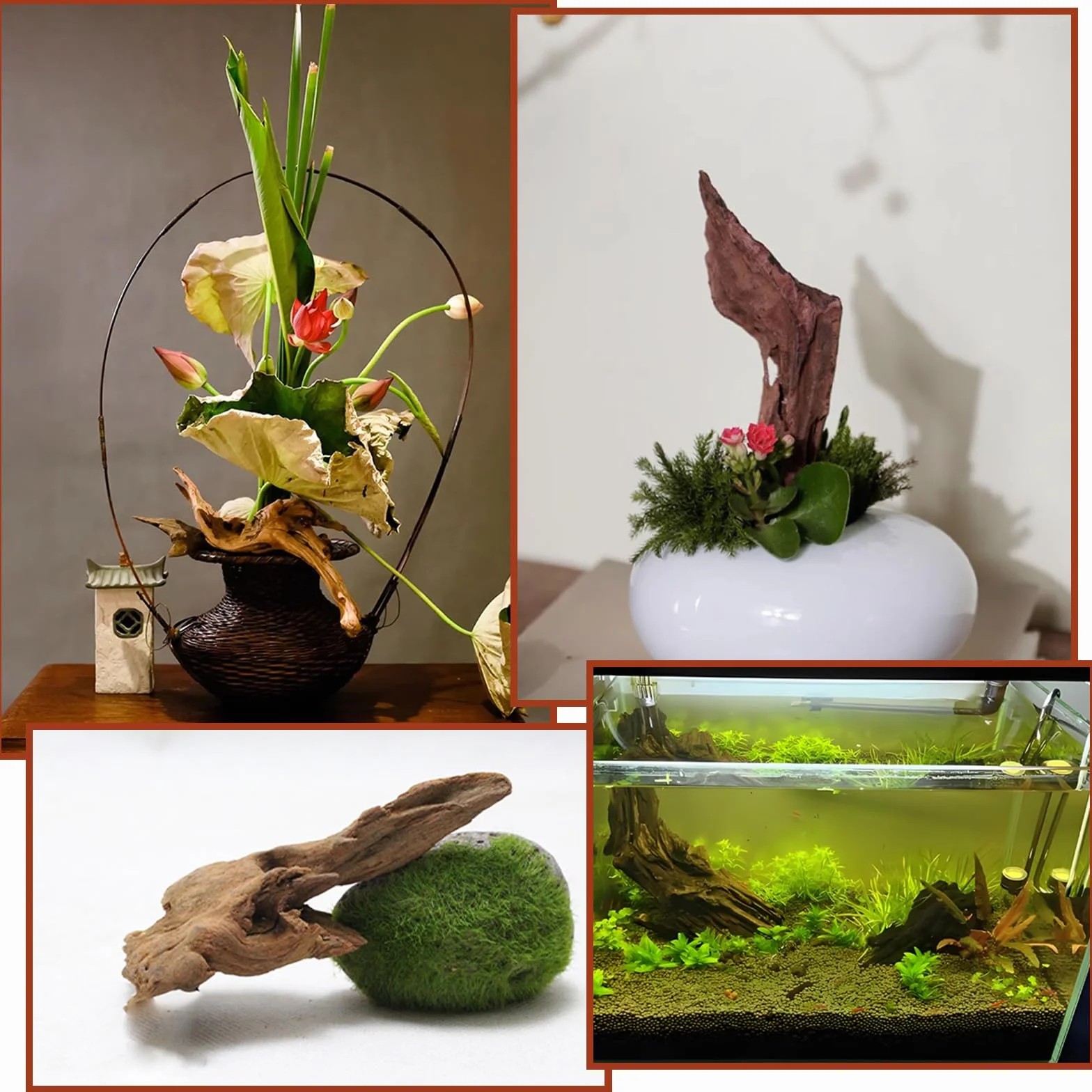 4 piezas de madera flotante para acuario, pecera, madera natural, sin rebabas, decoración de pecera, piezas pequeñas para acuarios, microacuarios, paisaje duro