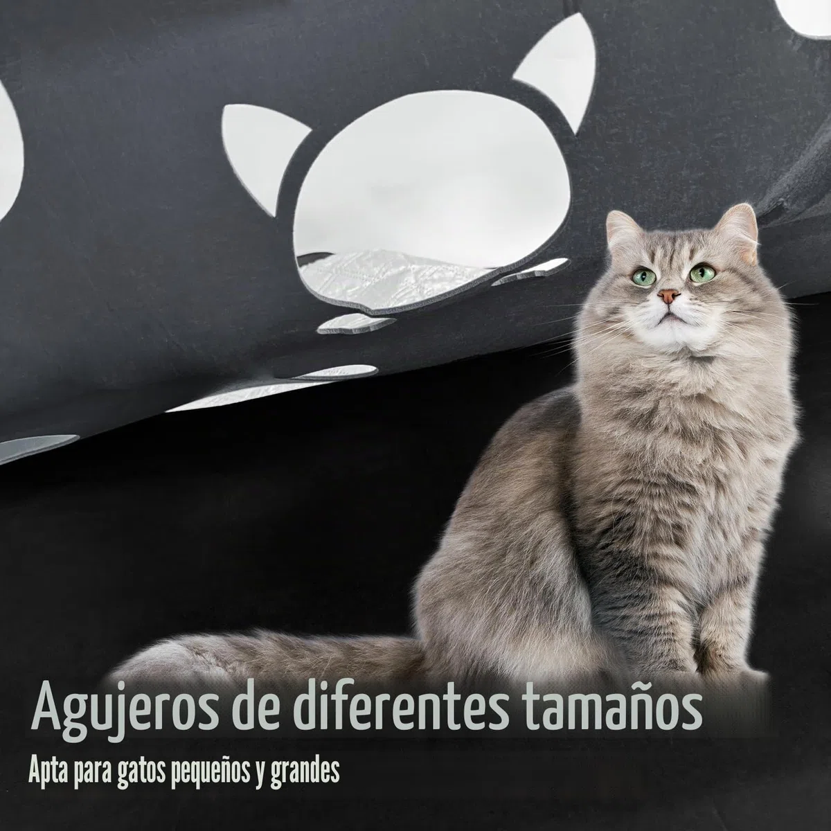 Juguete para gatos y alfombrilla para rascar, túnel de fieltro para gatos, túnel de juego y esterilla para dormir, para jugar de forma inteligente con .Número de patente: No 015084058-0001