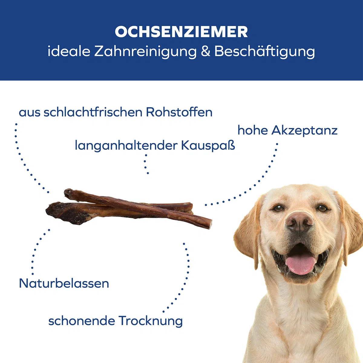 Bueyes para perros – 12 cm grandes masticables – 5 unidades para masticar de larga duración