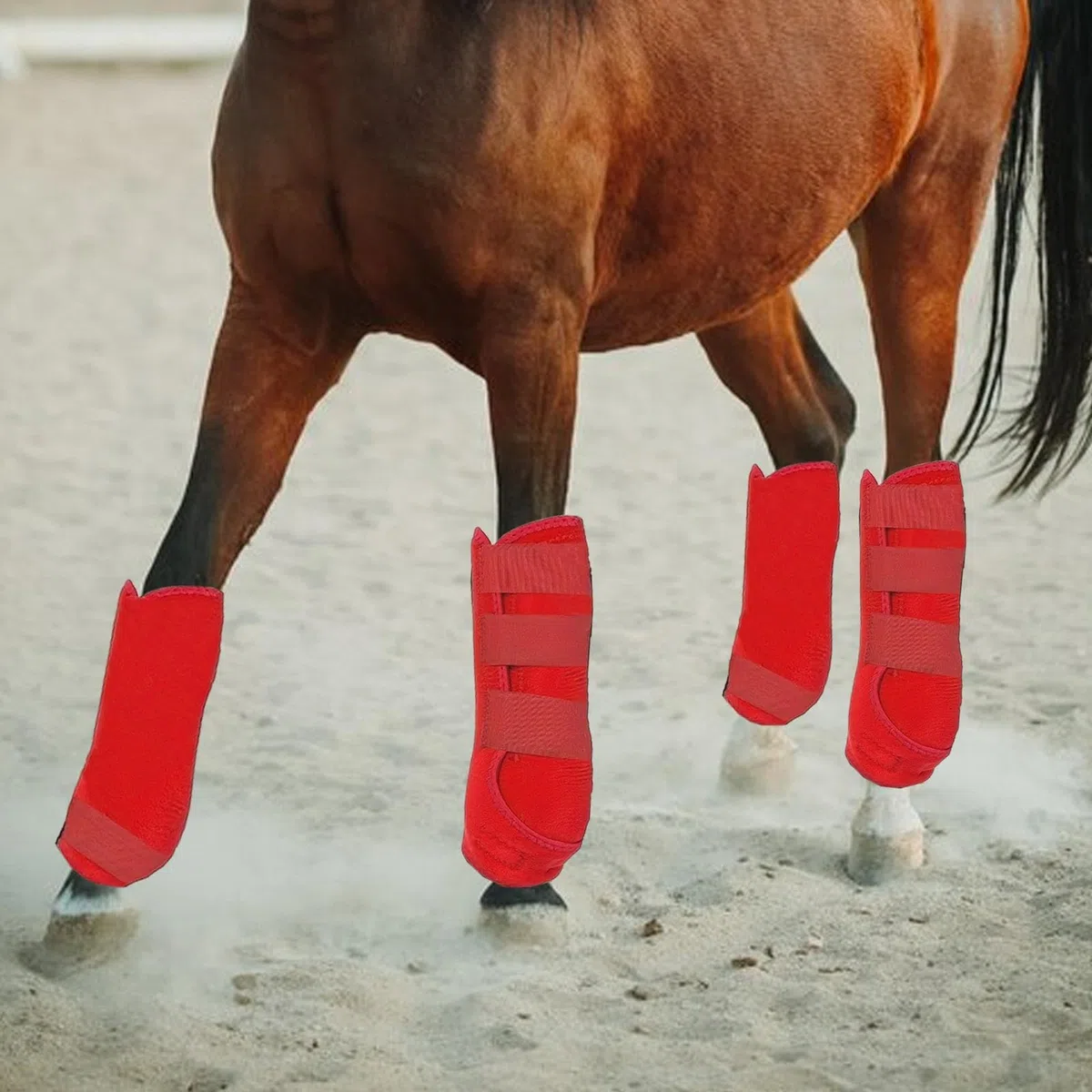 4 Protectores de Piernas para Caballos, Amortiguadores, Protectores de Tendones, Neopreno, para, Accesorios Ecuestres.