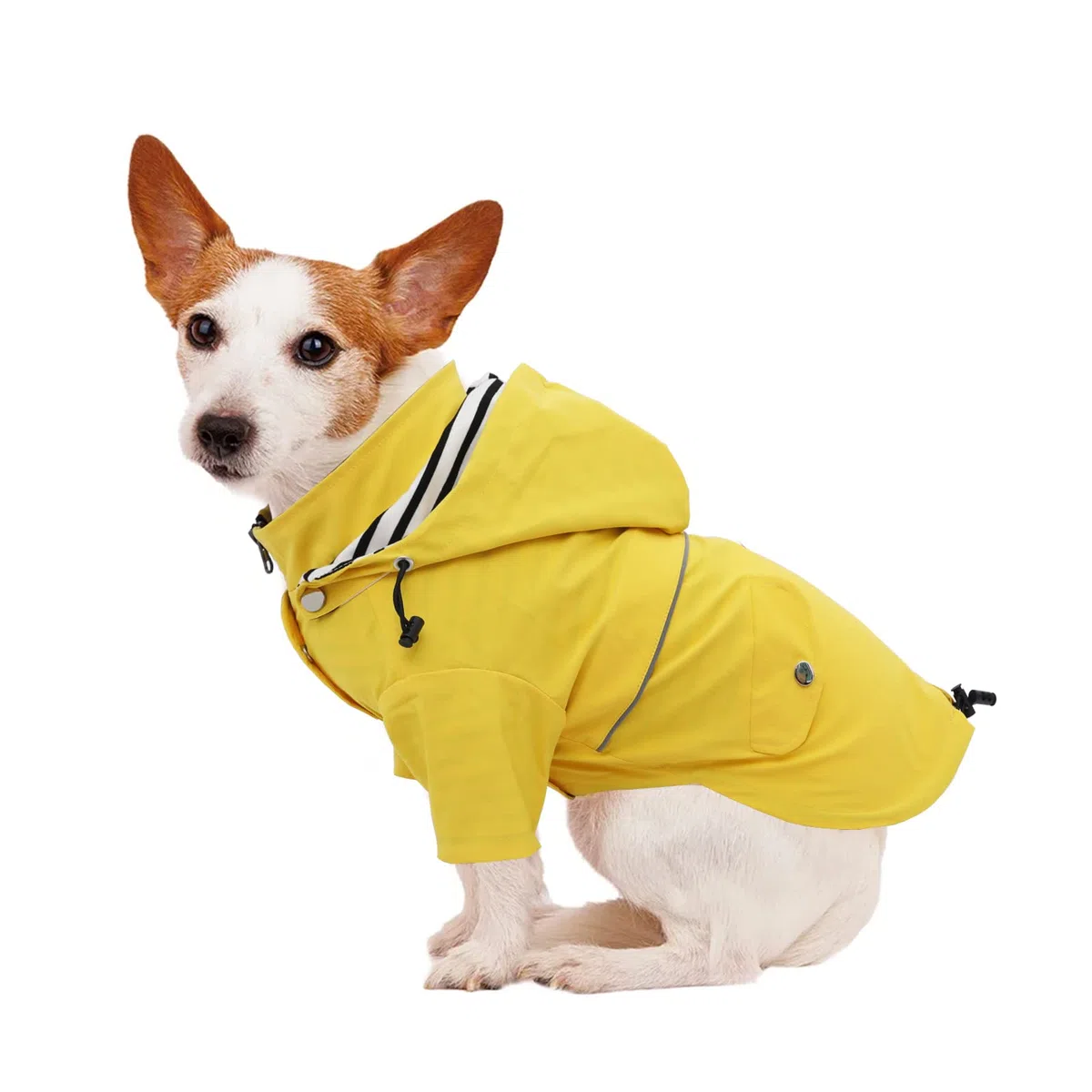 Pethiy- Elegante Chubasquero para Perro,Impermeable Abrigo con Botones Reflectantes y Bolsillos, Resistente a la Lluvia/al Agua,con Capucha extraíble, para pequeños y medianos Perros-Amarillo-M