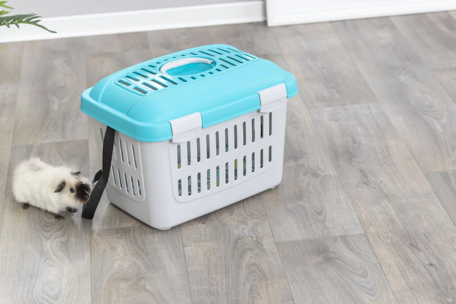 TRIXIE Transportín Midi-Capri para Pequeños Mamíferos