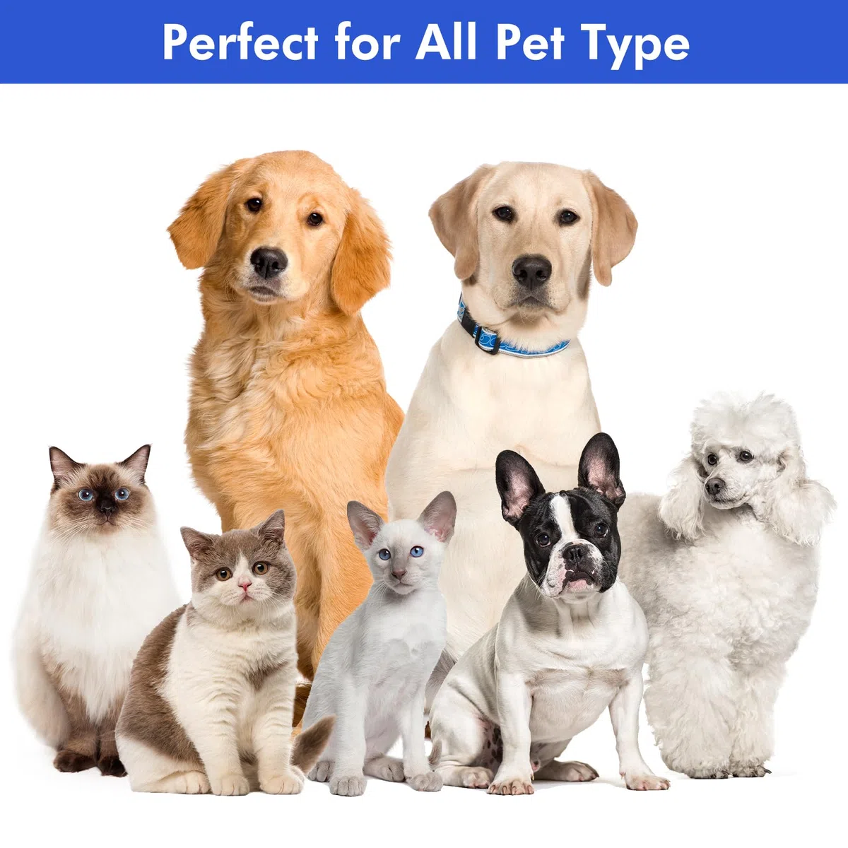 Neakasa Cortapelos Perros y Gatos con aspirador pelos mascotas, 99% Succión de Pelo, Maquina cortar pelo Silenciosa, 5 herramientas de belleza - cepillos para gatos y perros