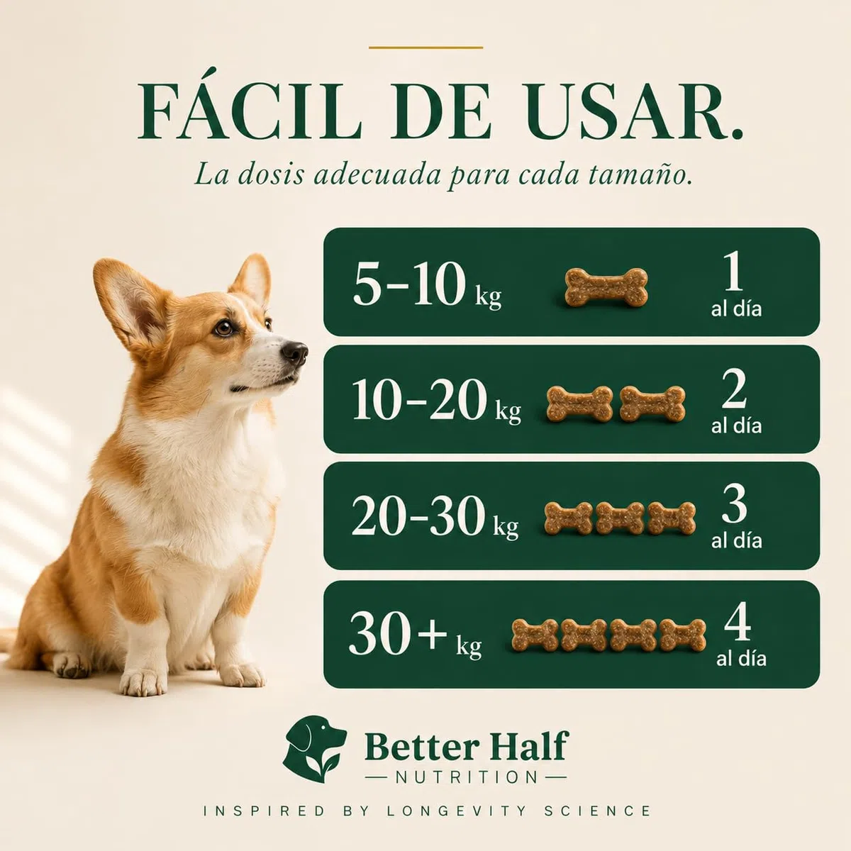 Condroprotectores Perros Masticable | Glucosamina, Condroitina, MSM y Colágeno | 120 Snacks Blandos para Articulaciones y Cadera | Move by Better Half Nutrition | Hecho en Europa | GMP+