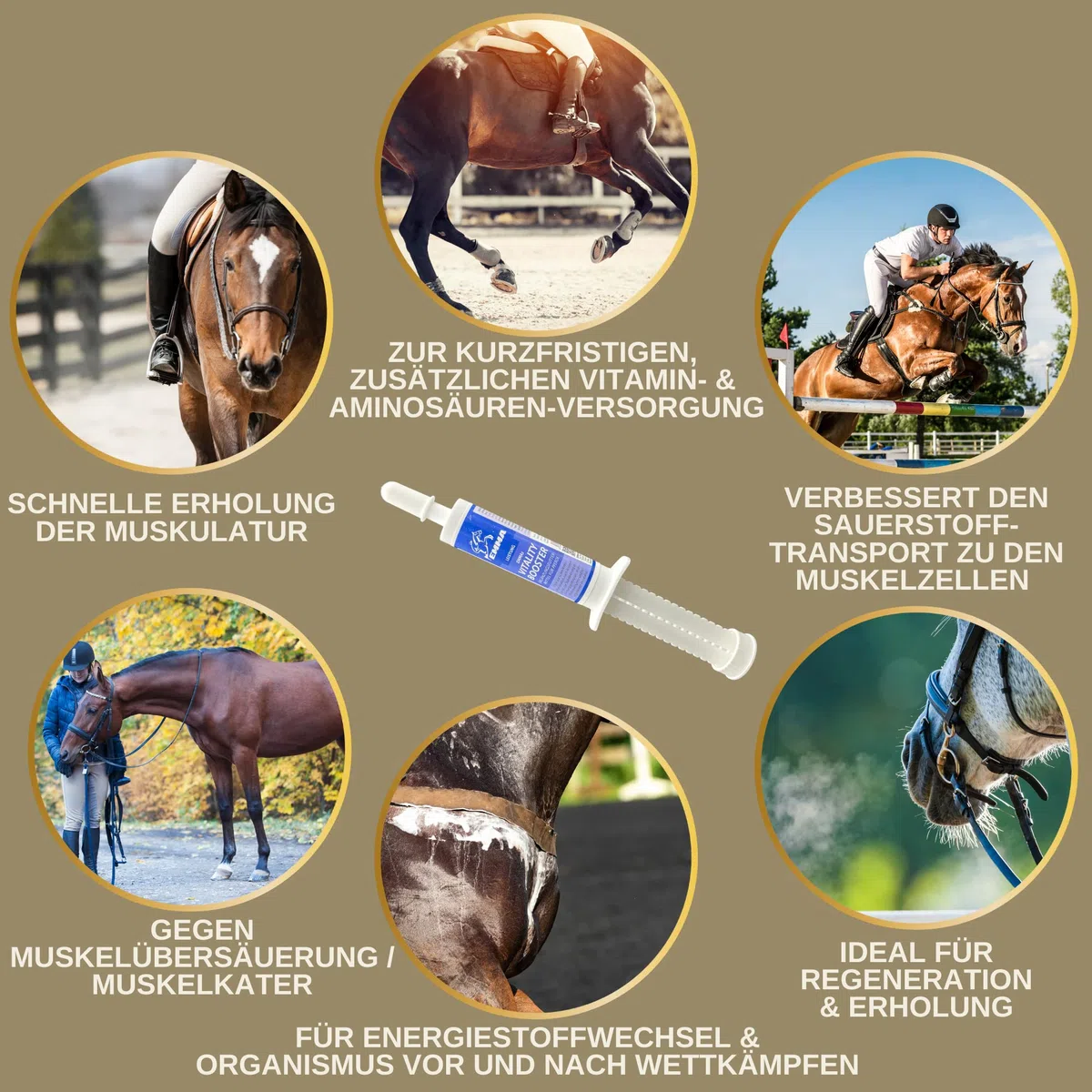 Pasta vitamínica para Caballos Aminoácidos Caballo Amino Vitamina E Levadura de Cerveza I Energía Alimento reconstituyente para músculos doloridos Regeneración Rendimiento Muscular Musculación 30ml
