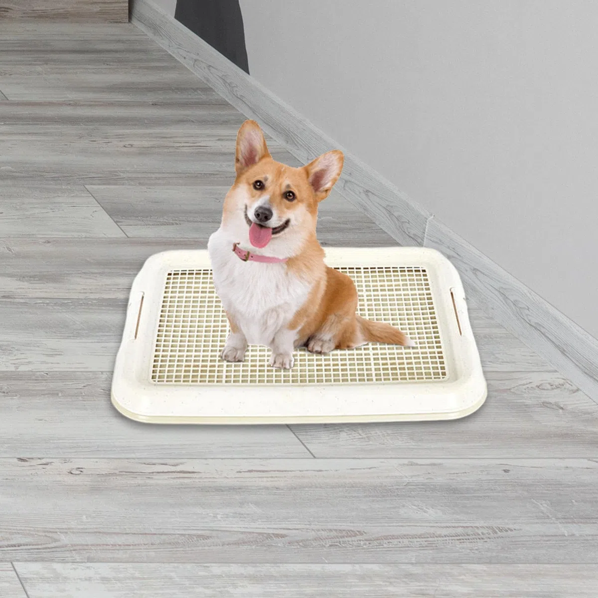 rockible Orinal para Perros, Caja de Arena para Perros, Soporte para Almohadilla para Orinar para Cachorros, Bandeja para Orinal de Malla para Cachorros