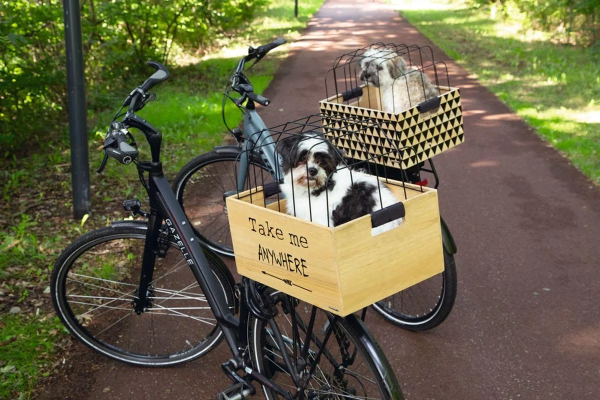 Beeztees K&Bz Cesta De Madera para Bicicleta Journey, 45 X 33 X 45 Cm Negro 400 g