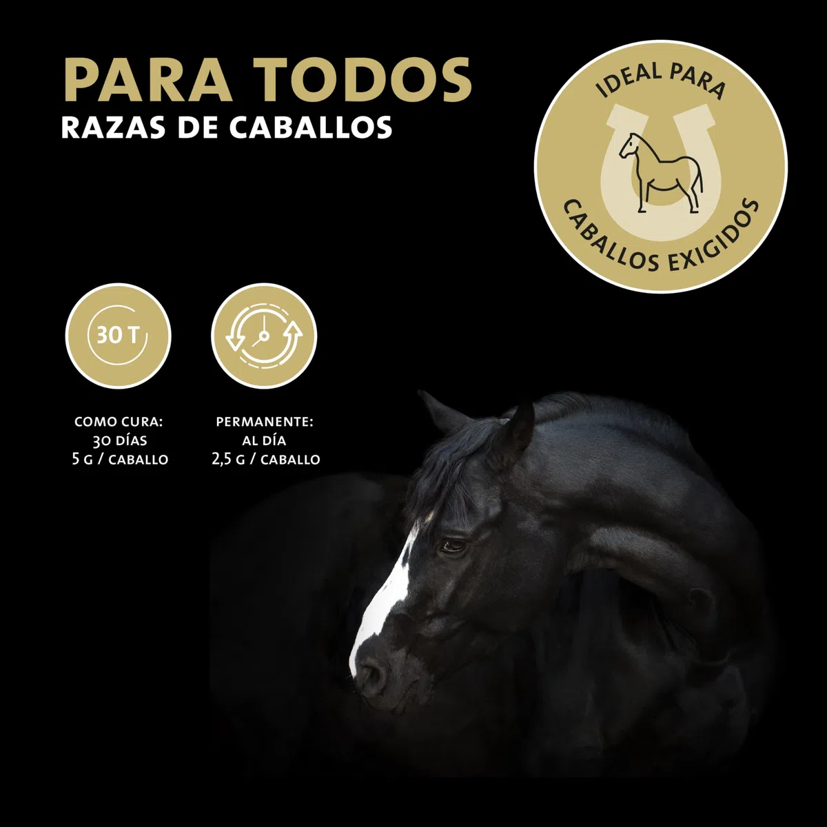 Peticare antioxidantes para Caballos | Apoyo al daño Celular y fortalecimiento inmunológico, Esfuerzo | con Ingredientes Naturales | para el estrés oxidativo | petHorse Health 4607