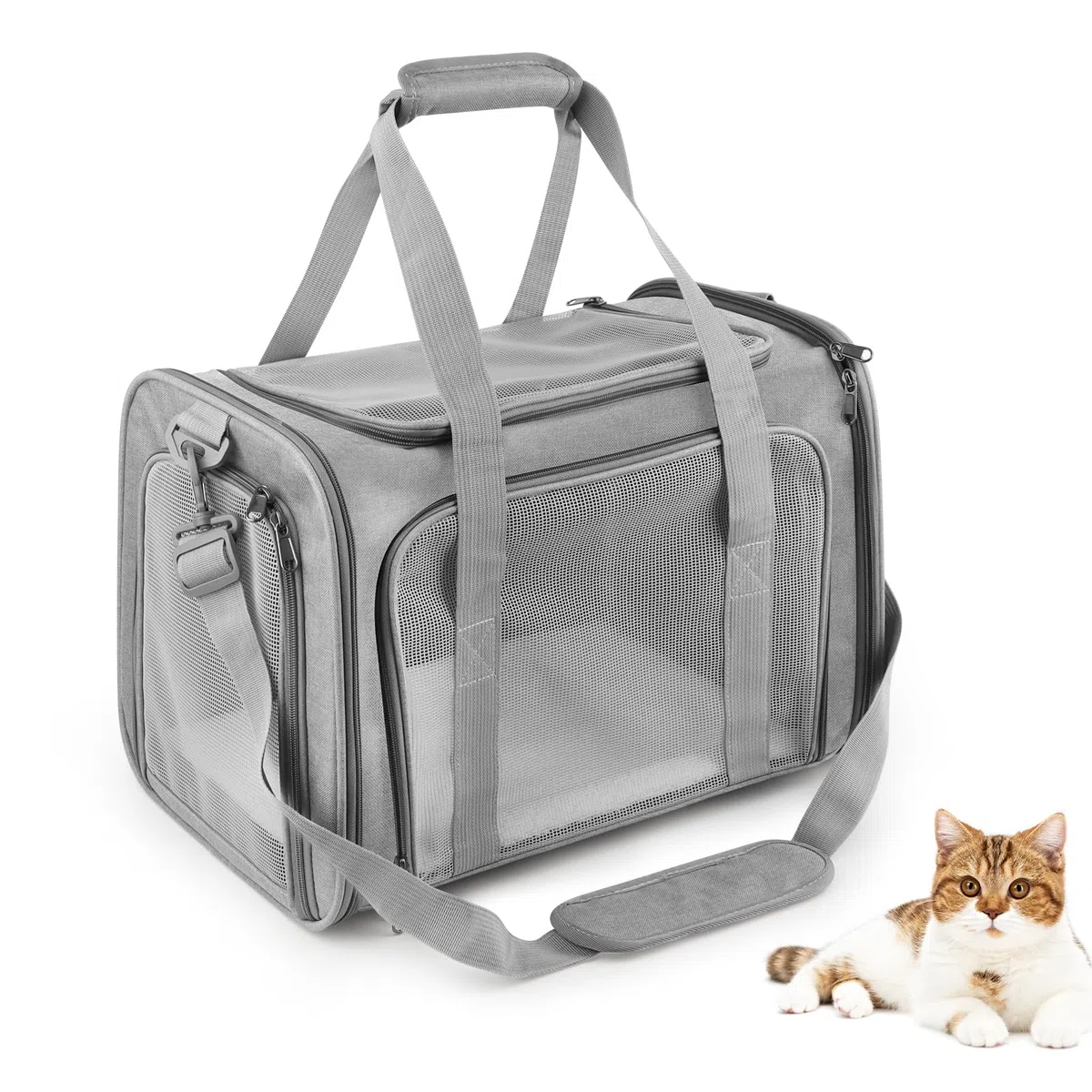 Transportin Gato Grande, 45x30x30 cm Transportin Perro Pequeño Transpirable Plegable, Transportin para Gatos con Correa al Hombro y Colchón Suave, para Coche/Avión, Autoreisbox für Katze