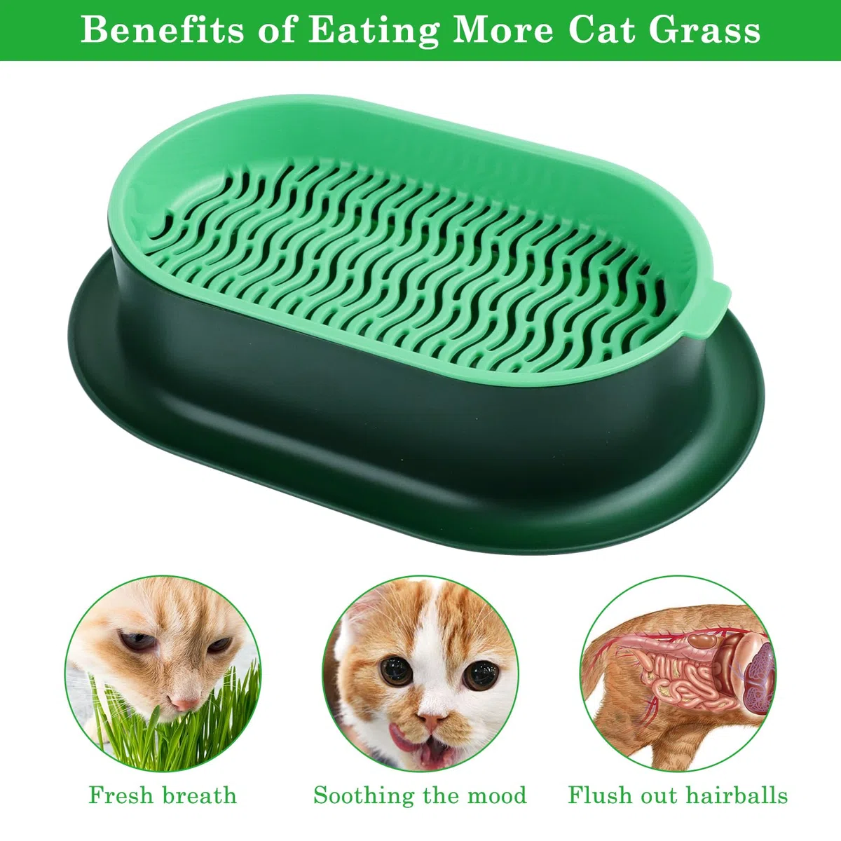 2 Piezas Caja de Hierba para Gatos, Maceta hidropónica para Hierba Gato, Kit de Cultivo de Hierba para Gatos, Caja Plantación Hierba, Bandeja para Hierba de Gato Apto para Todos los Gatos