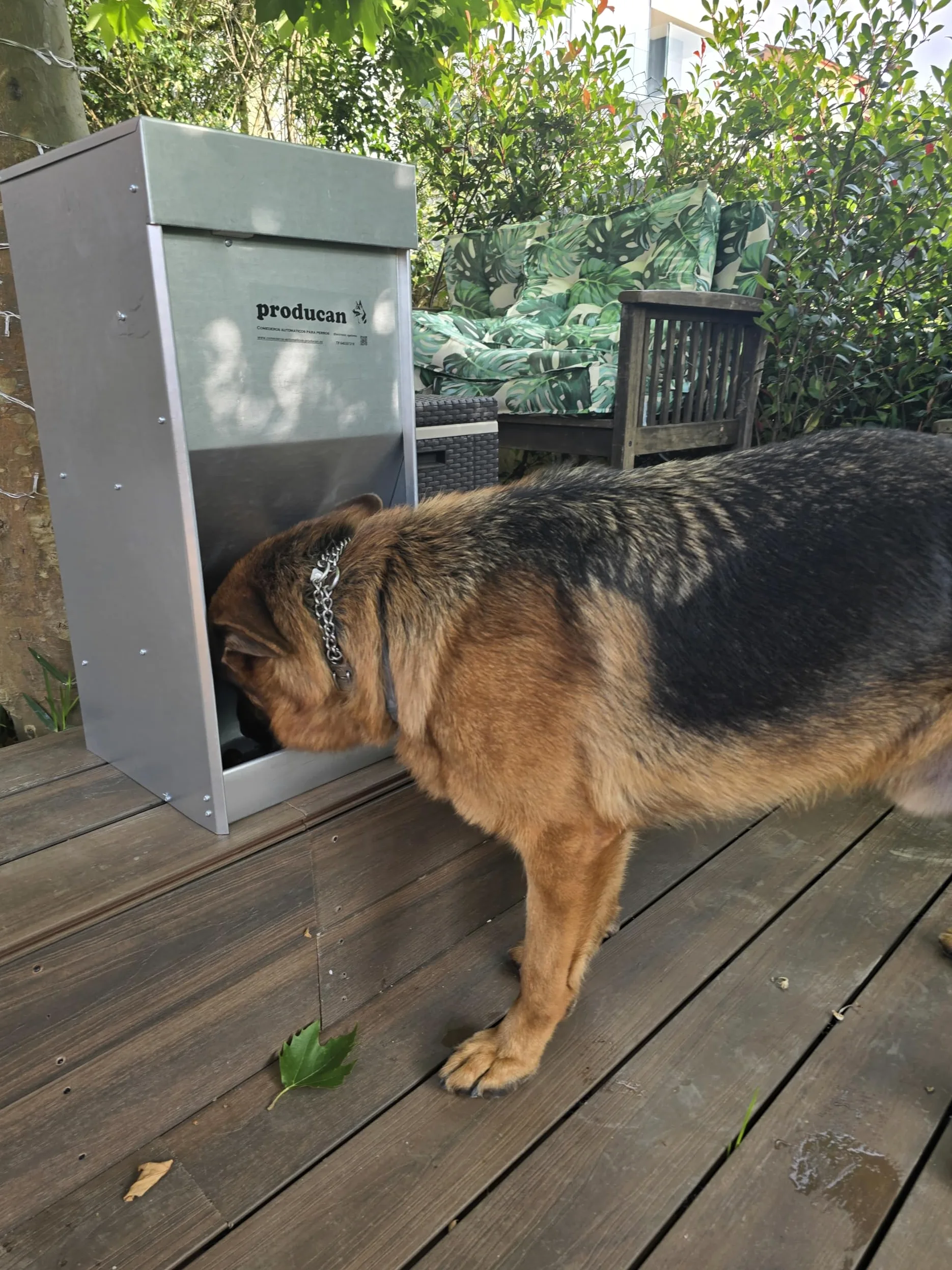 Comedero Automático Inteligente para Perros: Programable, 40 litros, Exterior Dispensador de Comida Profesional para Perros: Programable, Modelo P1