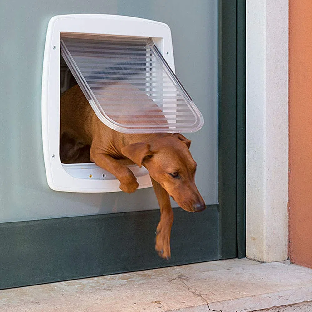 Ferplast Puerta para Perros Medianos, Gatera, Entrada y Salida controlables 4 vías, Protección contra Corrientes de Aire, Swing 11 Tamaño Mediano, Puerta Perro, Blanco