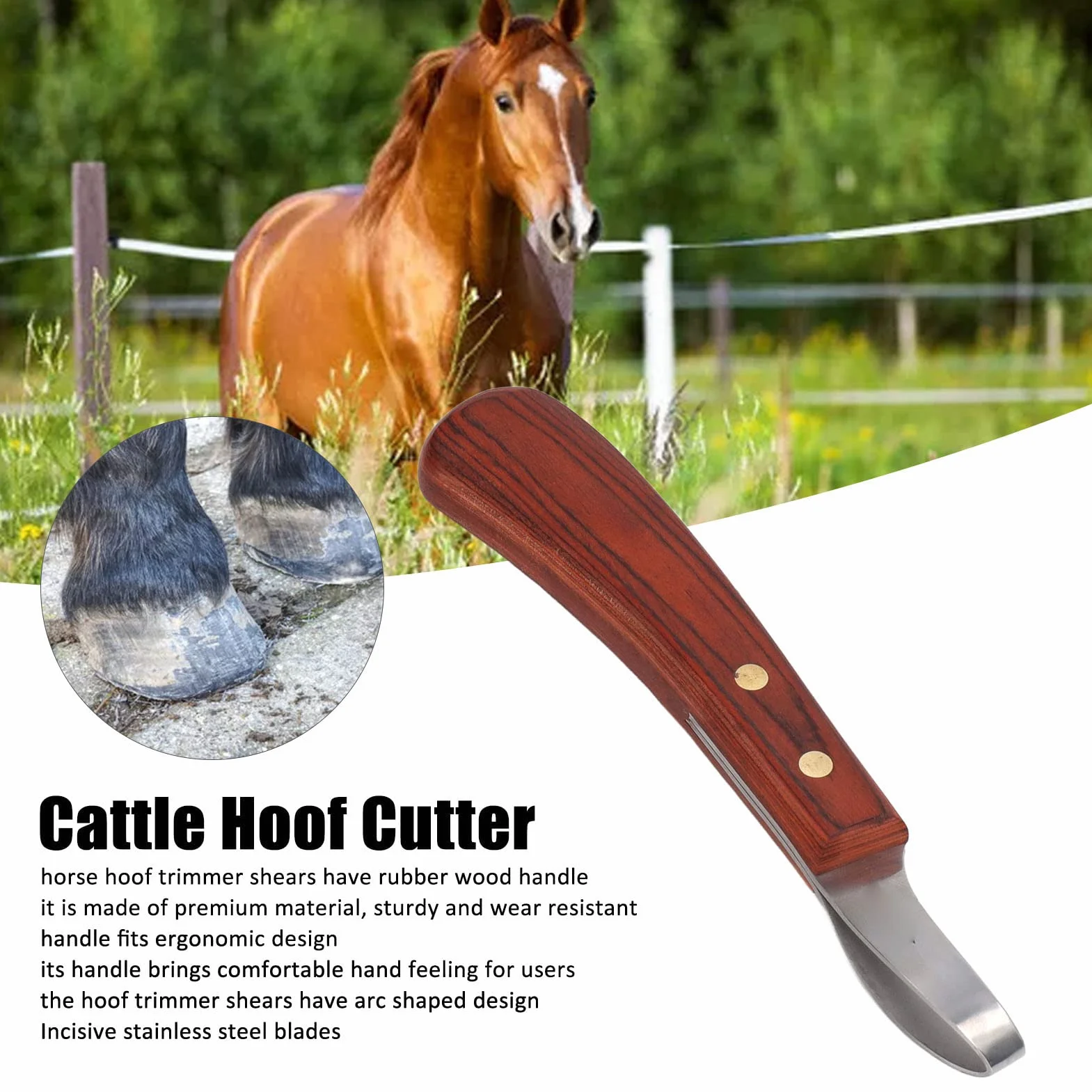 Recortadora de Cascos para Vaca Hoja Acero Inoxidable Mango Ergonómico Madera Caucho Herramienta Profesional Multifuncional
