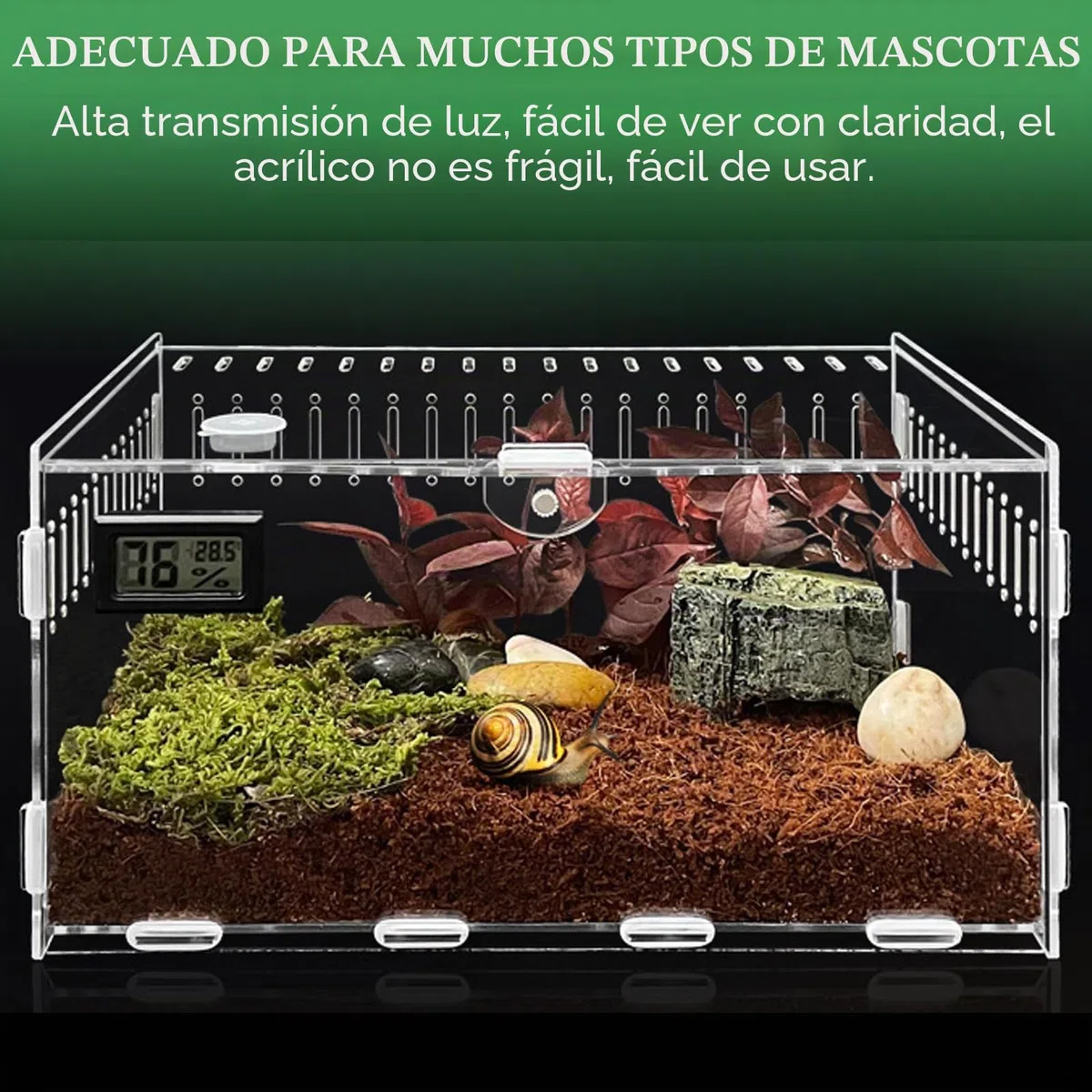 Terrario Acrílico para Caracoles - Alimentador para Reptiles 30x20x15 cm, Contenedor Acrílico Transparente para Caracoles y Arañas