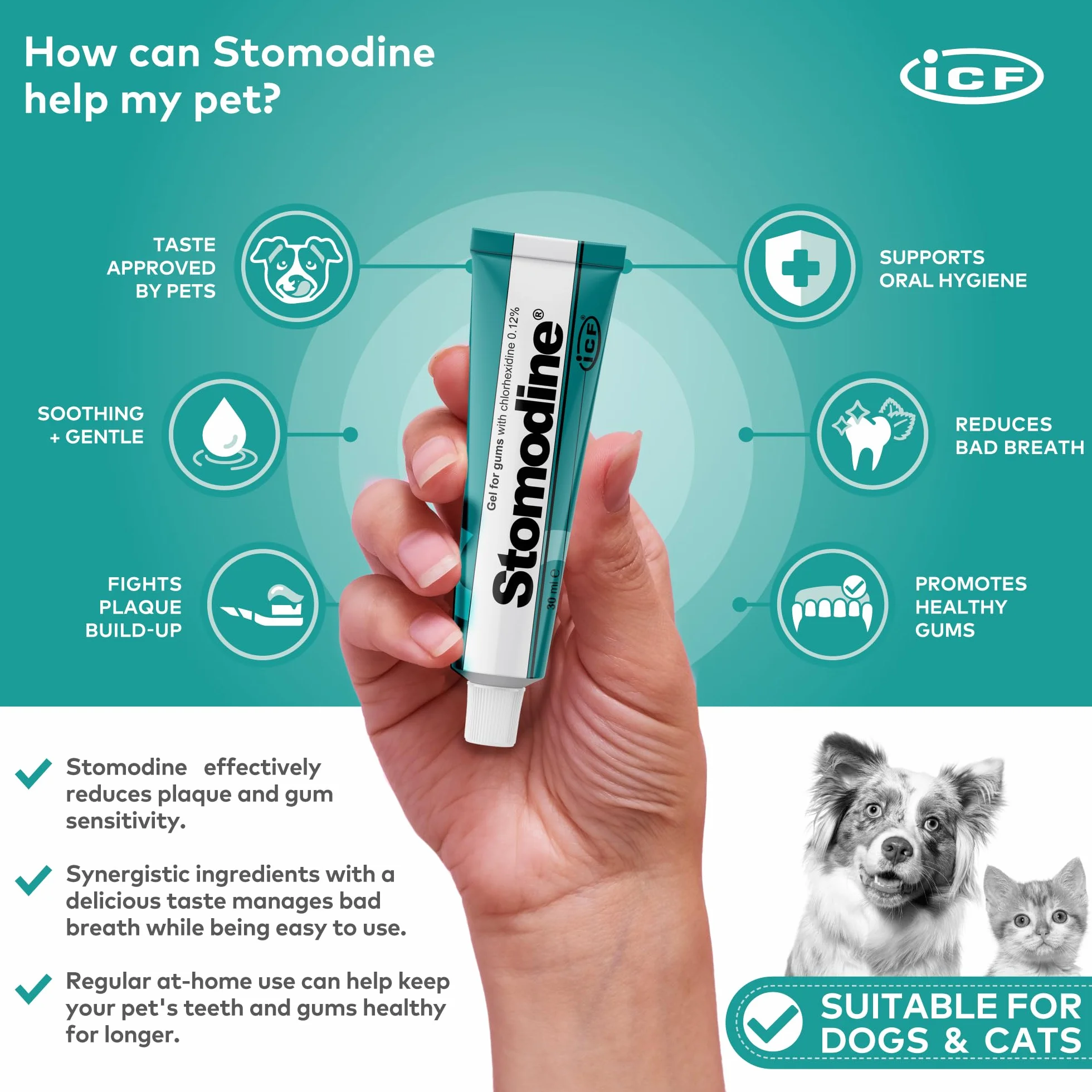 Fatro Stomodine Pasta Dental Antisarro para Perros y Gatos - 30 gr