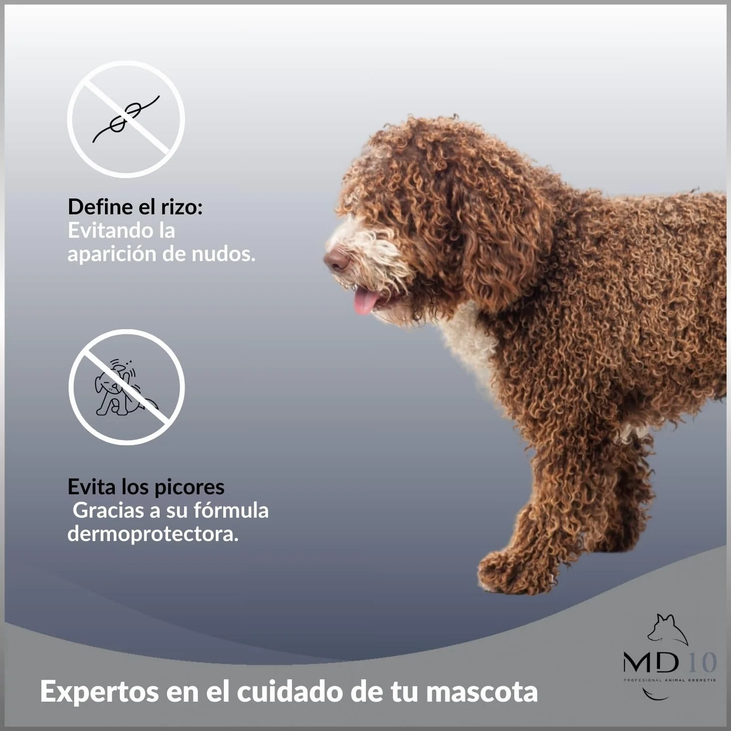 MD-10 COLLECTION Champú Perro de Agua (Pelo Marrón) 2 LTR