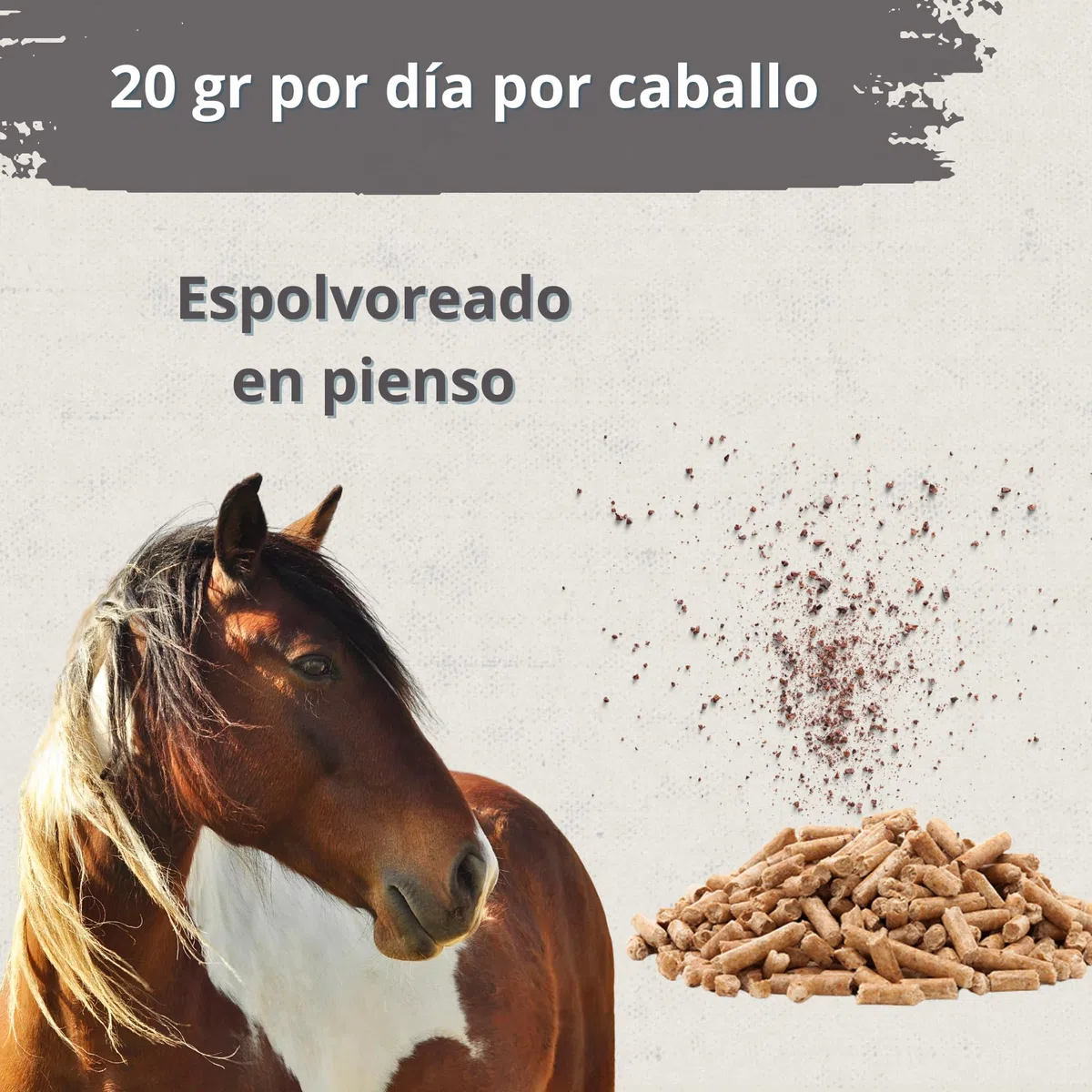 Hoofcare - Biotina y Zinc para Cascos Caballo 750g – Casco Fuerte y Crecimiento Natural – Ideal para Cascos Frágiles, Cambio de Pelaje y Caballos Deportivos – Cuidado Pezuñas, Piel y Pelaje Equino