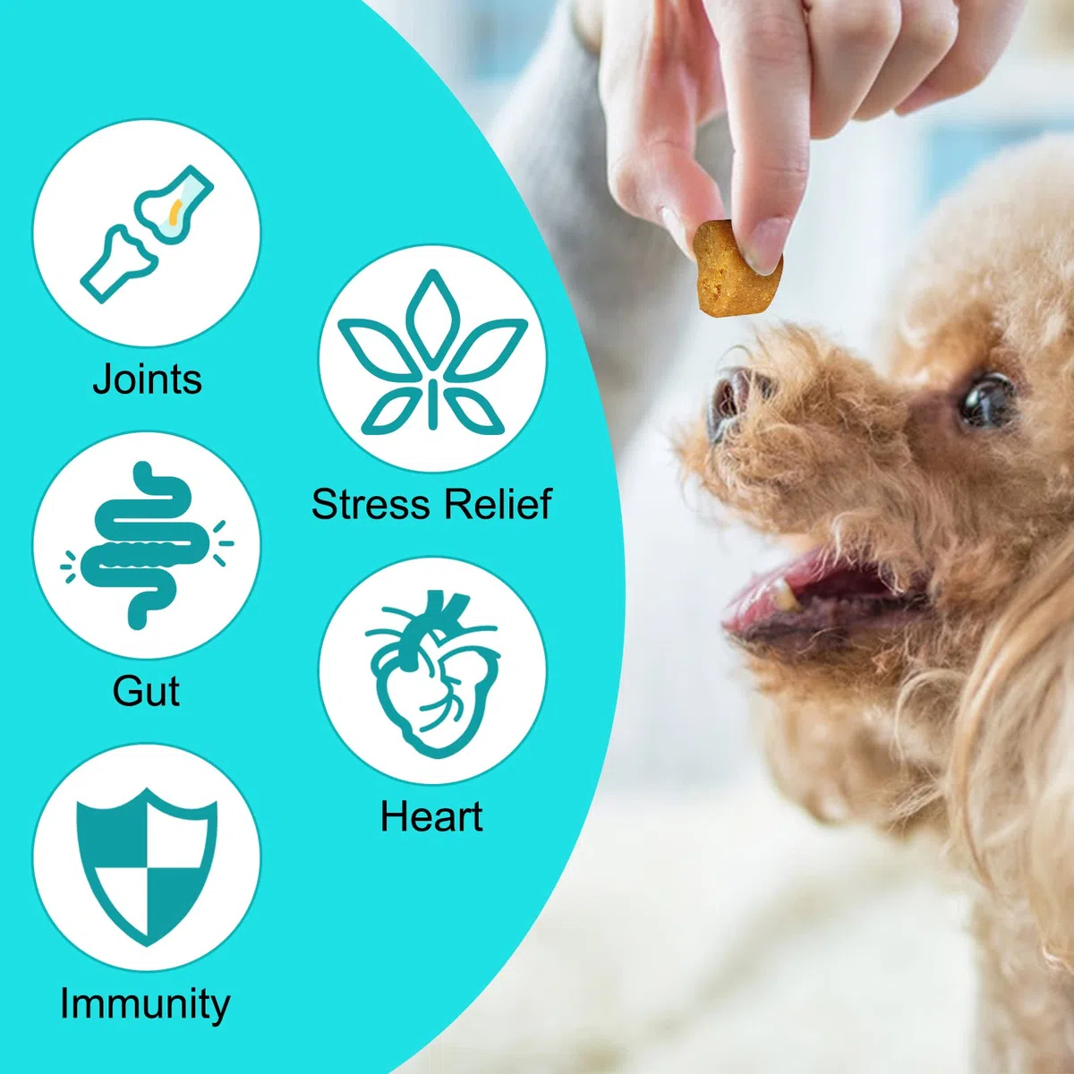 Masticación sedante para mascotas,la masticación calmante más pura para perros,ayuda a promover la relajación,reducir el estrés, masticación suave para mascotas natural,saludable deliciosa(330 gramos)